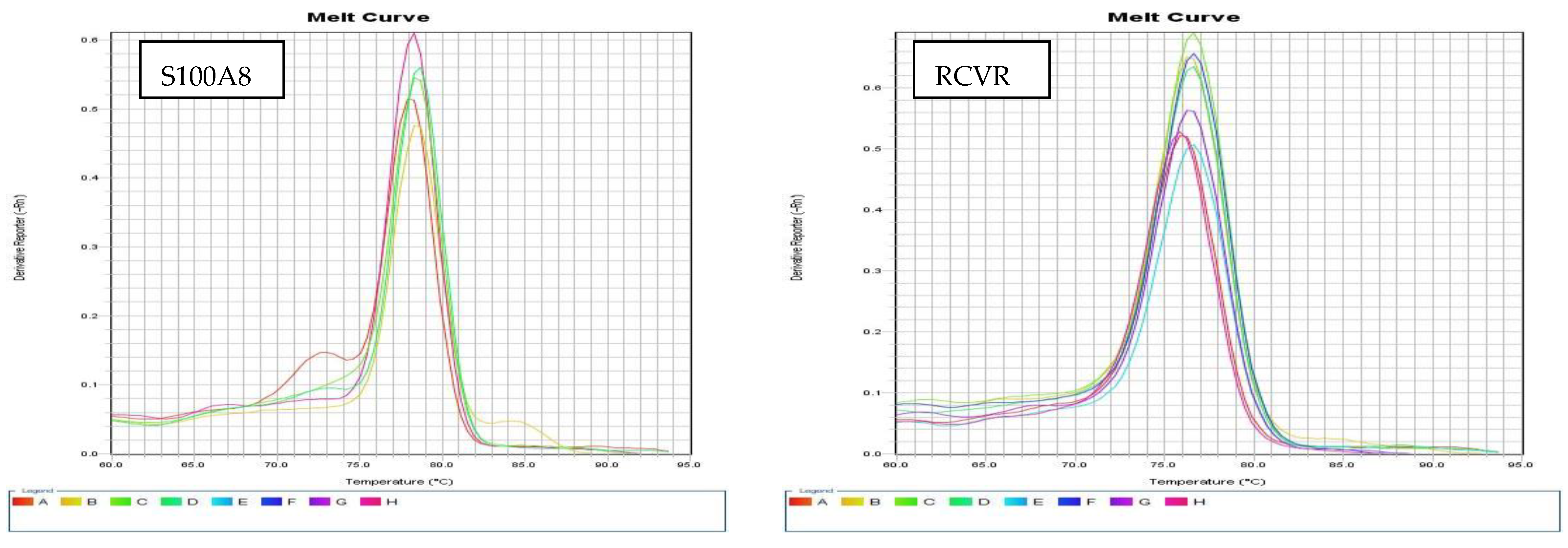 Biomedicines 13 02438 g002a