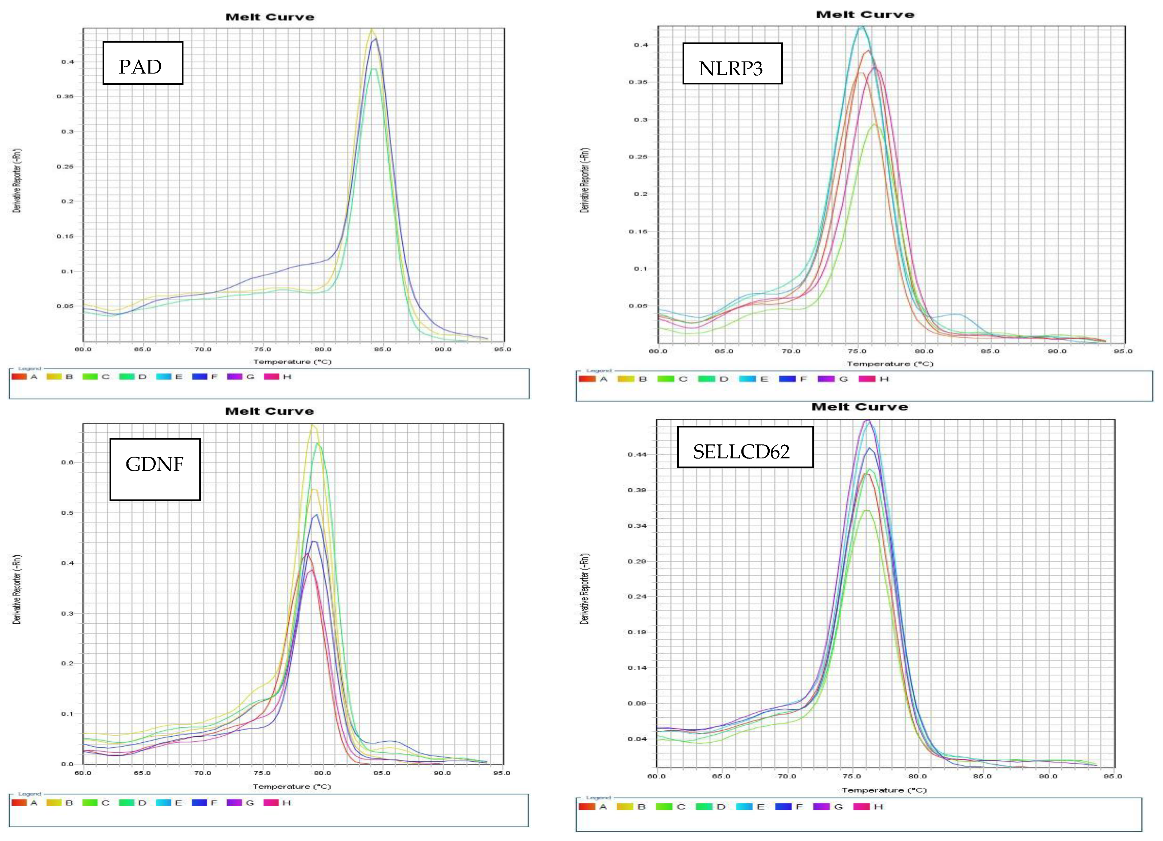 Biomedicines 13 02438 g002b