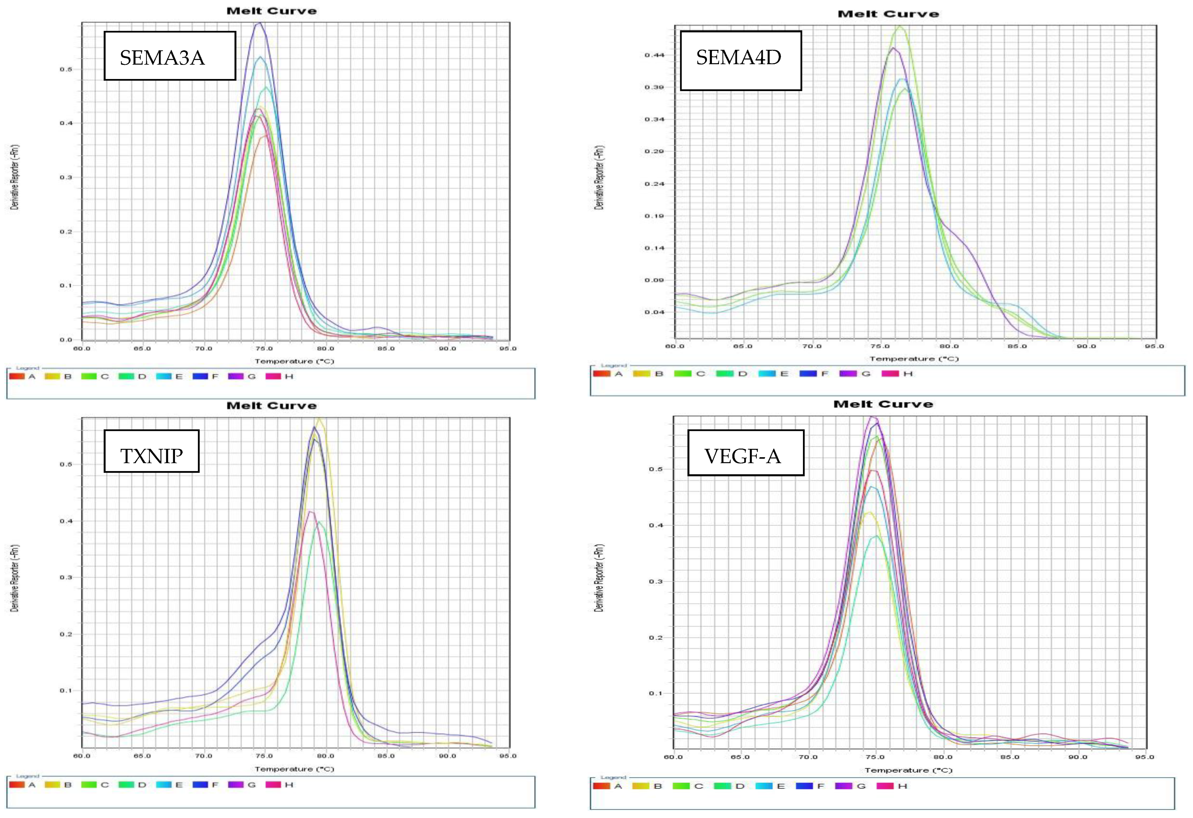 Biomedicines 13 02438 g002c