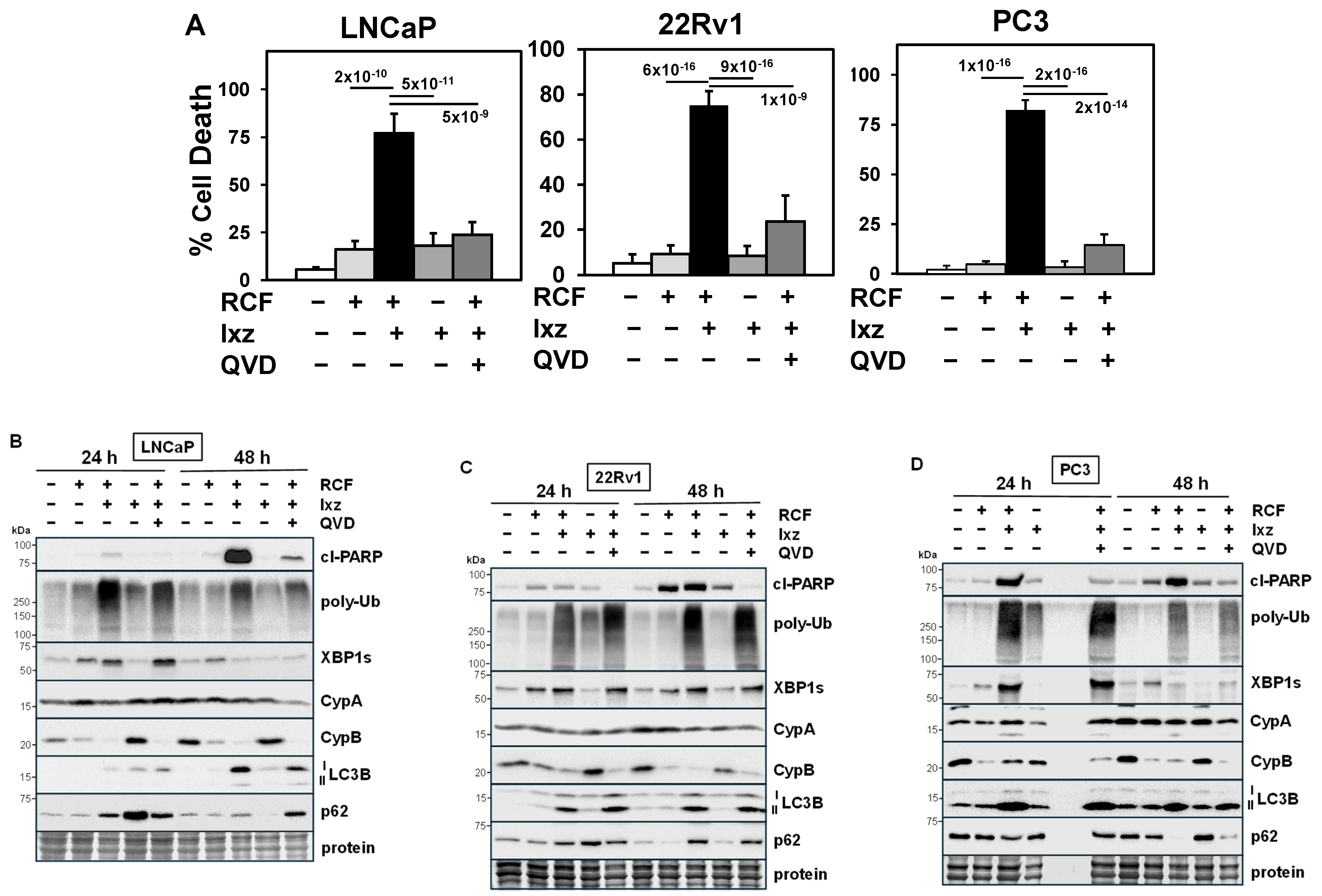 Biomedicines 13 02442 g001 Biomedicines 13 02442 g001