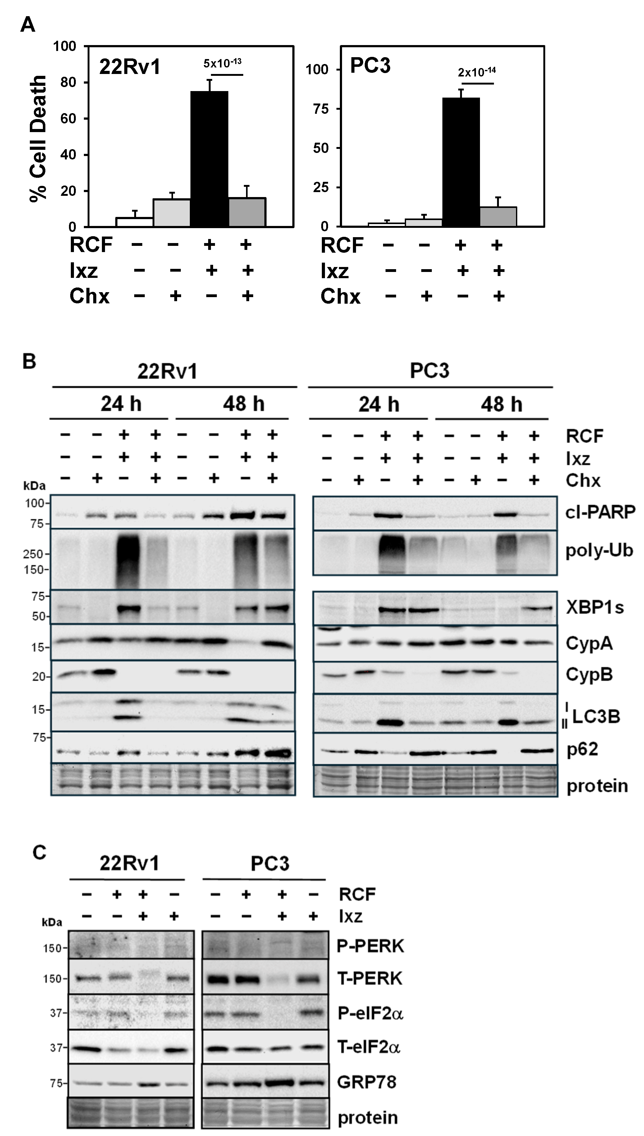 Biomedicines 13 02442 g003 Biomedicines 13 02442 g003