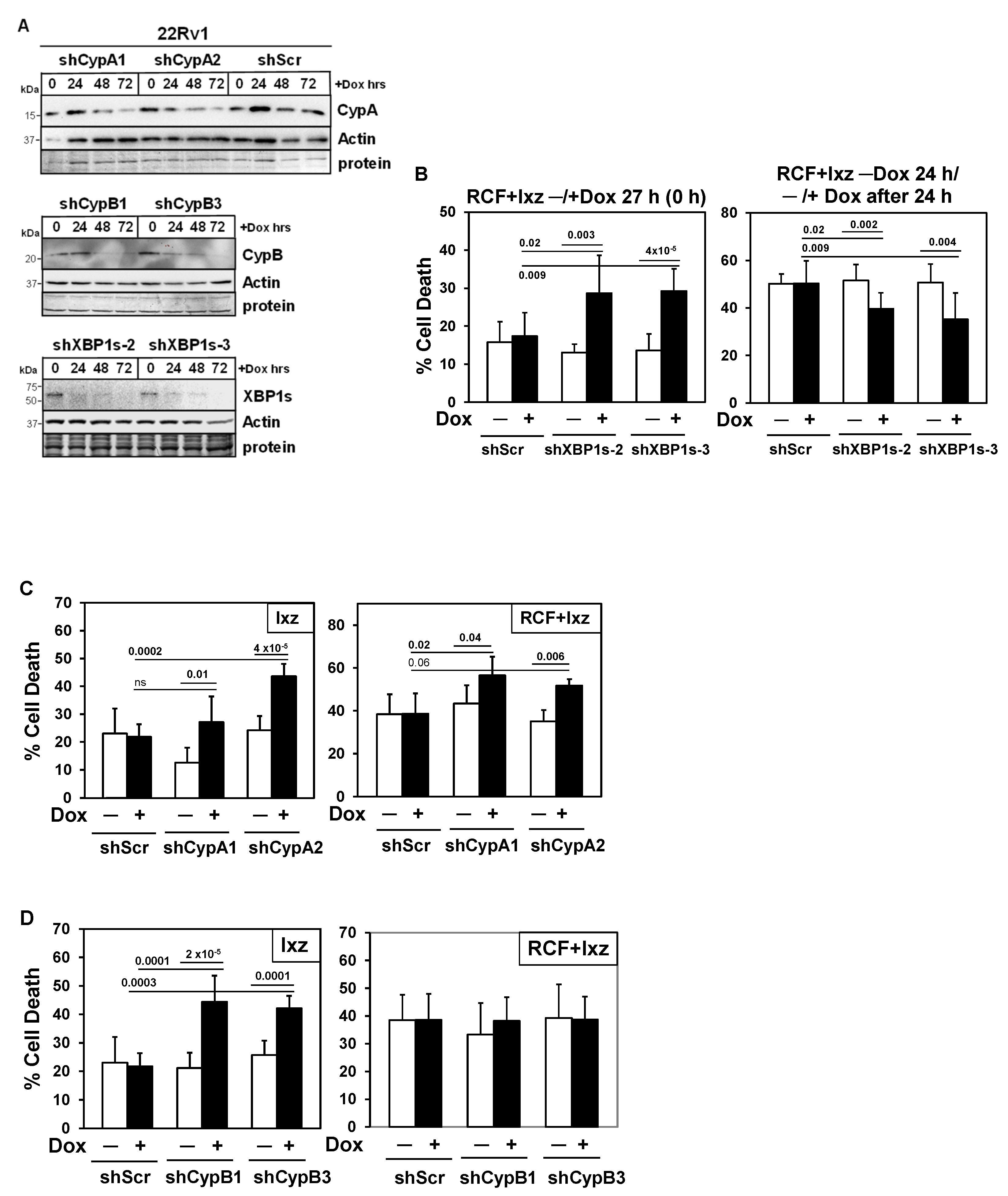 Biomedicines 13 02442 g005 Biomedicines 13 02442 g005