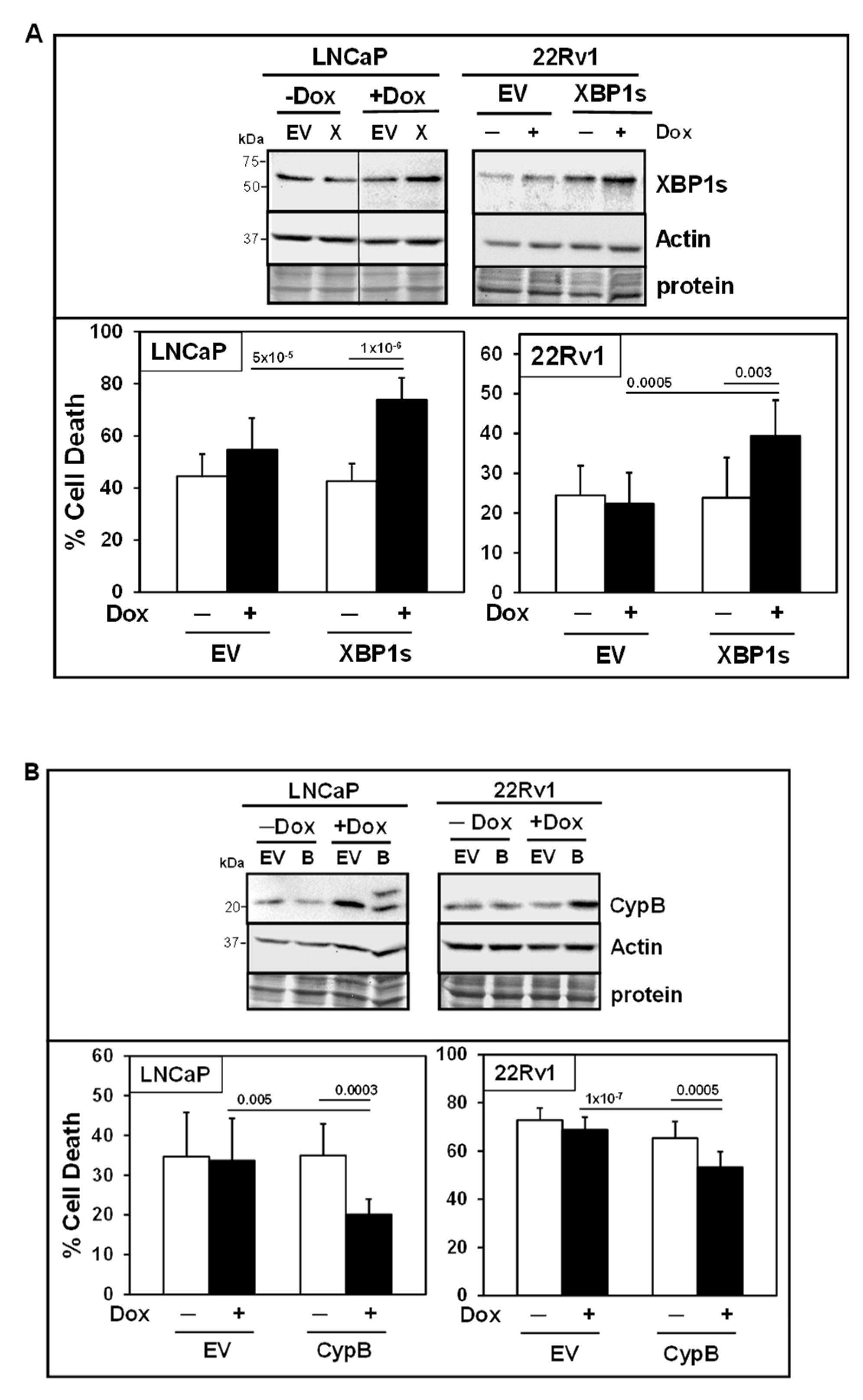 Biomedicines 13 02442 g006 Biomedicines 13 02442 g006