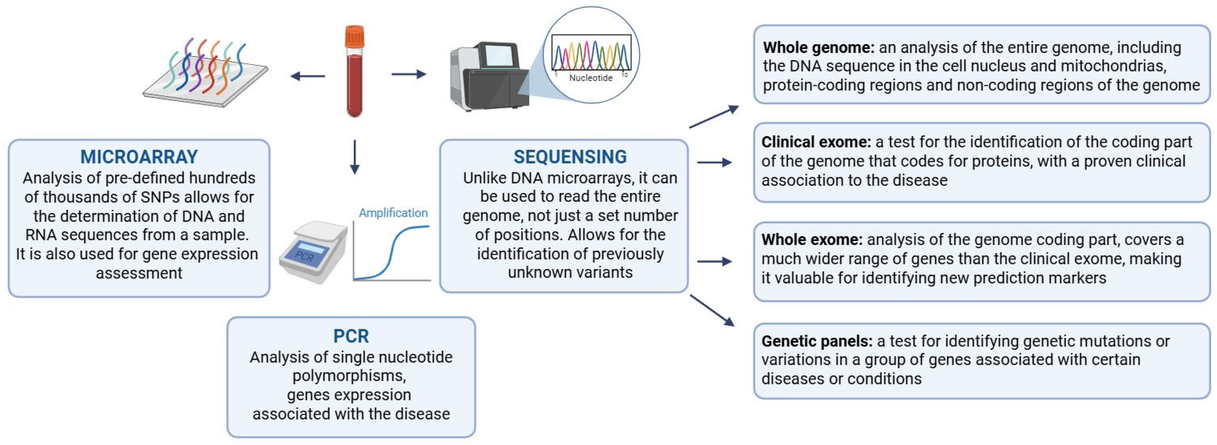 Biomedicines 13 02444 g001 Biomedicines 13 02444 g001