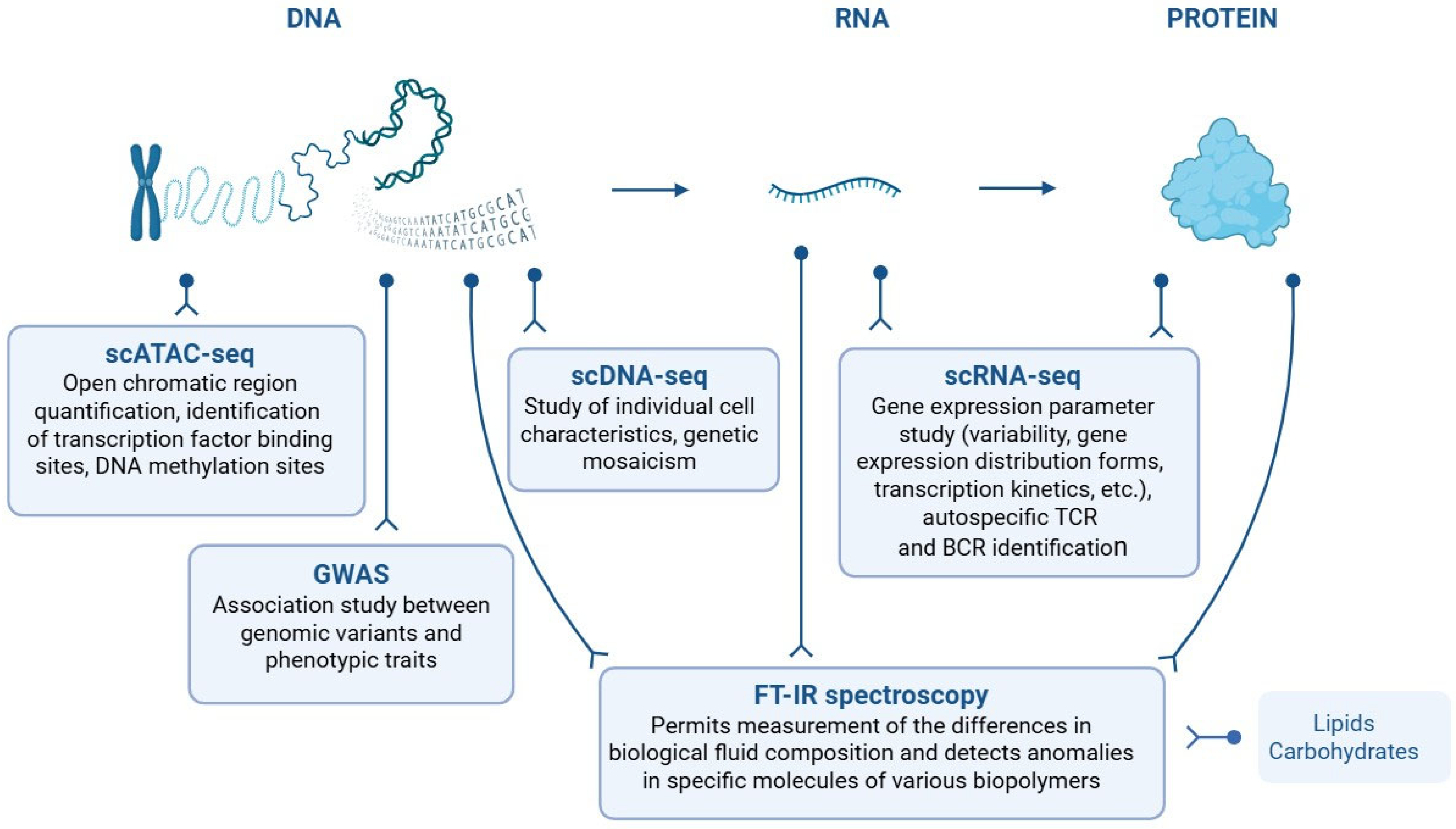 Biomedicines 13 02444 g002 Biomedicines 13 02444 g002