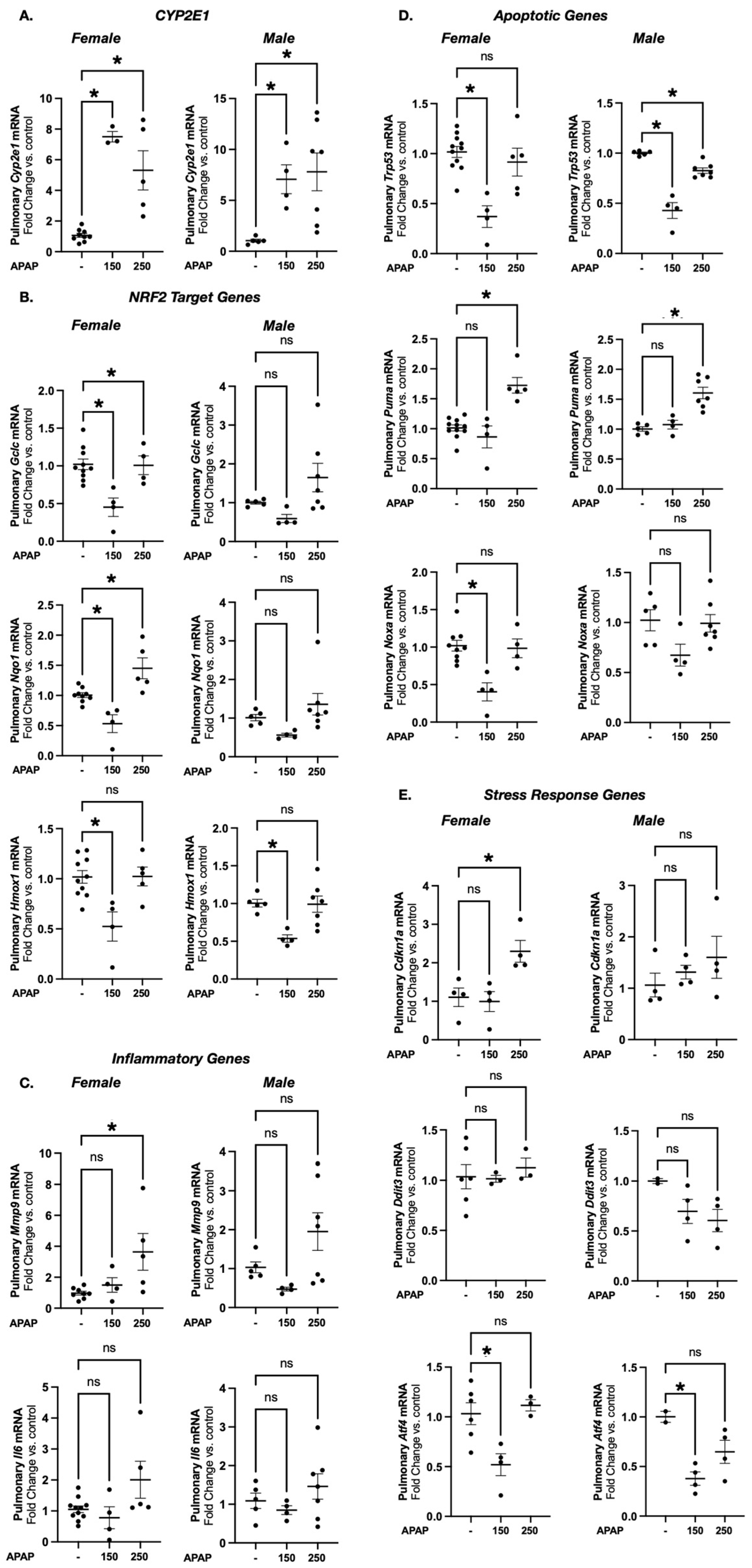 Biomedicines 13 02446 g003 Biomedicines 13 02446 g003