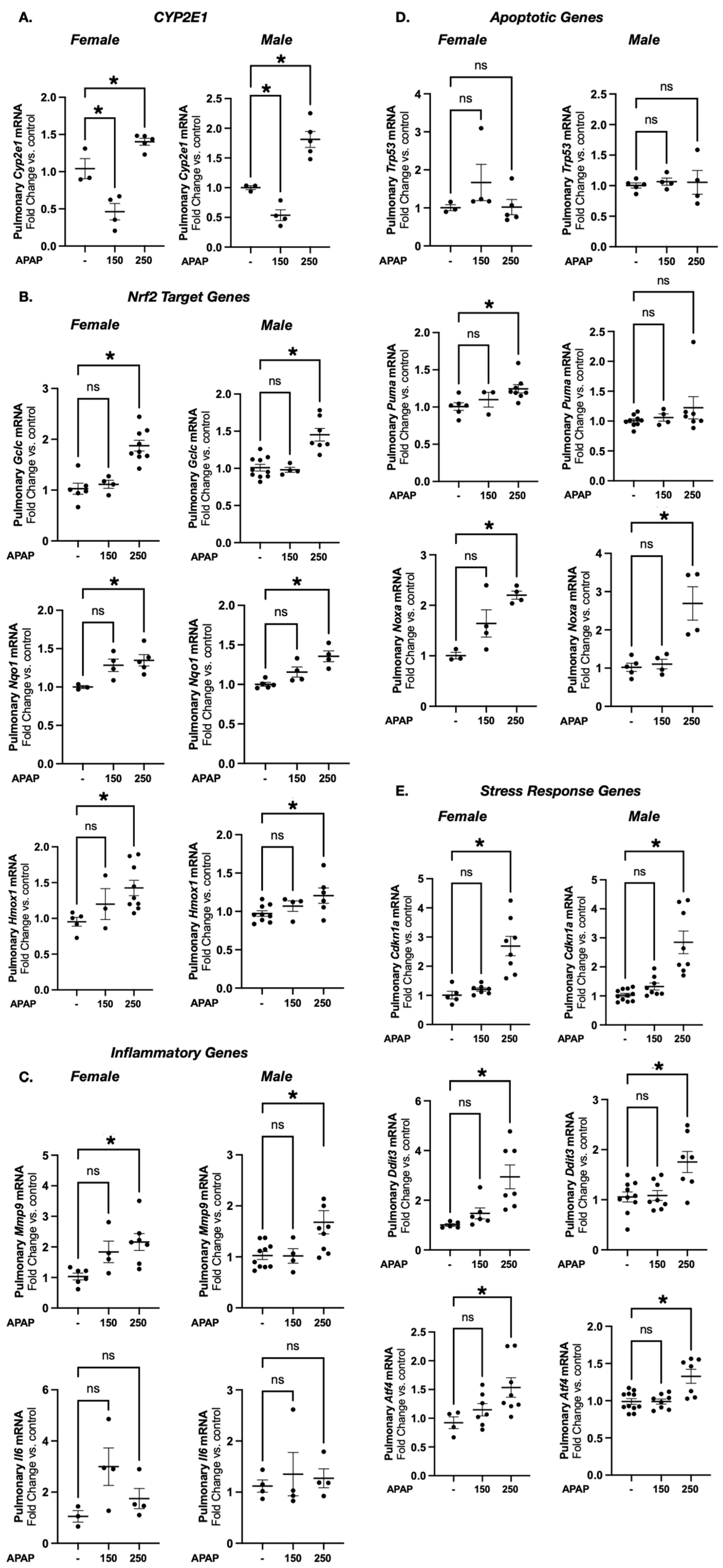 Biomedicines 13 02446 g004 Biomedicines 13 02446 g004