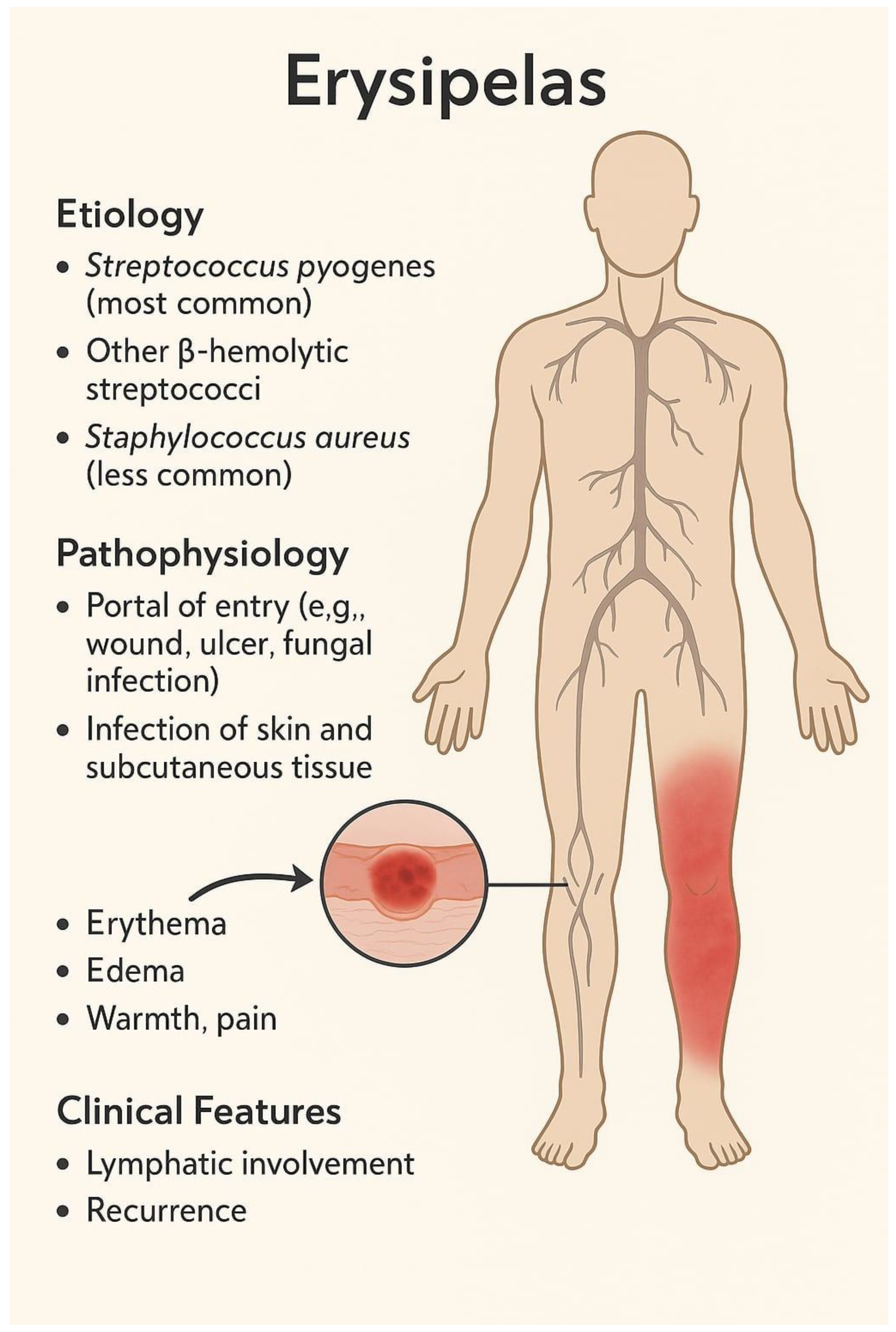 Biomedicines 13 02448 g001 Biomedicines 13 02448 g001