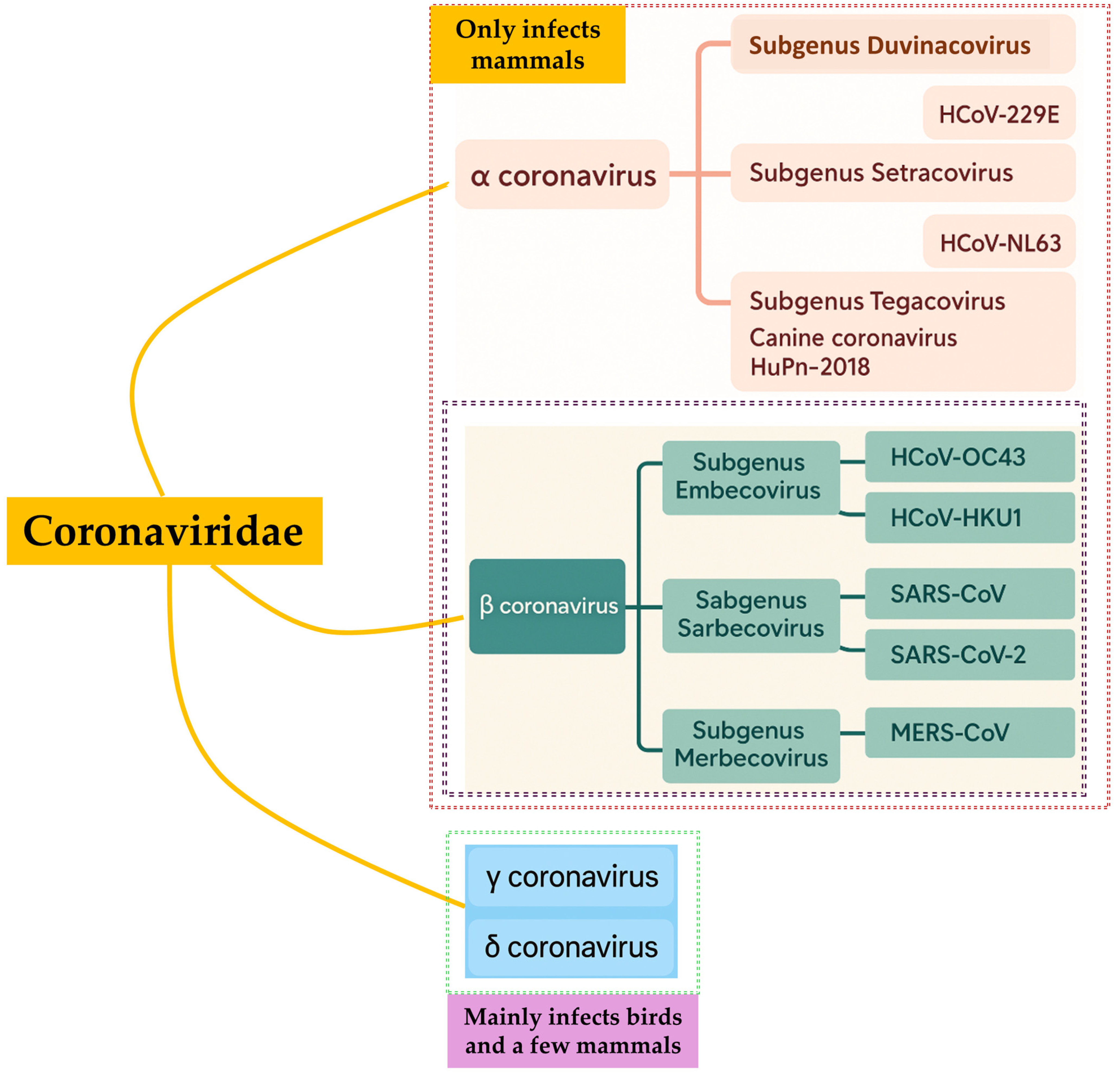 Biomedicines 13 02450 g001 Biomedicines 13 02450 g001