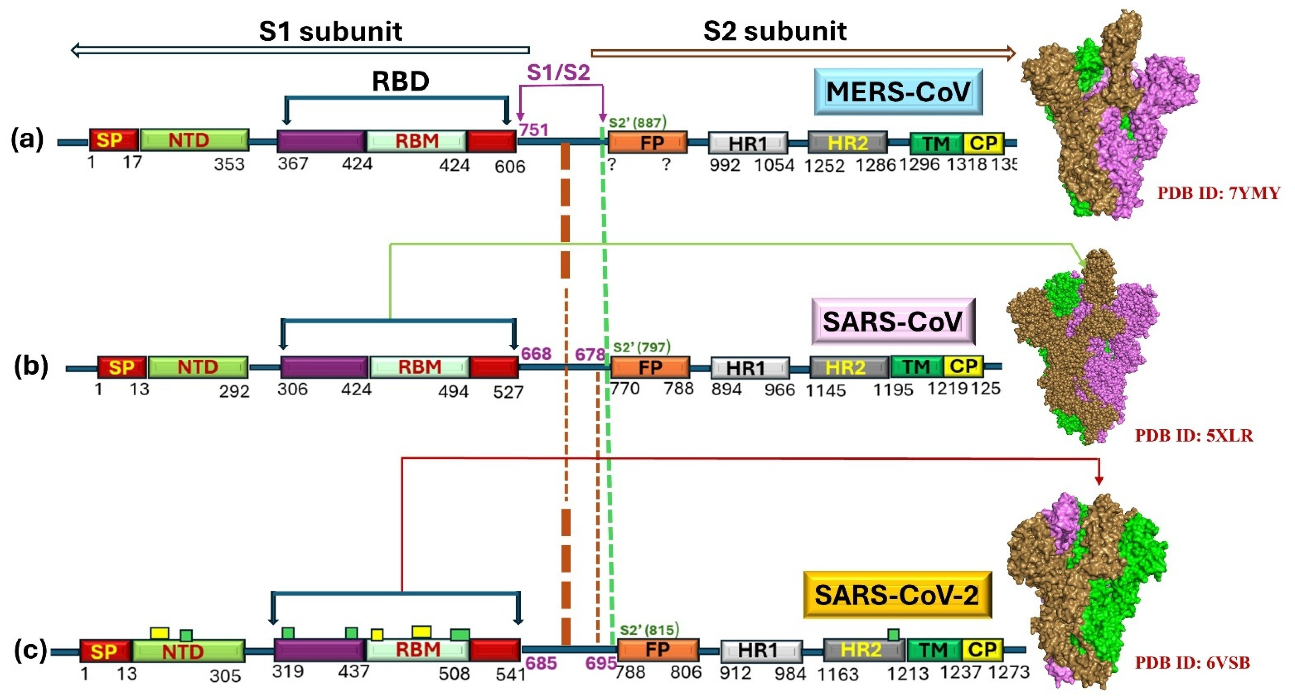 Biomedicines 13 02450 g002 Biomedicines 13 02450 g002