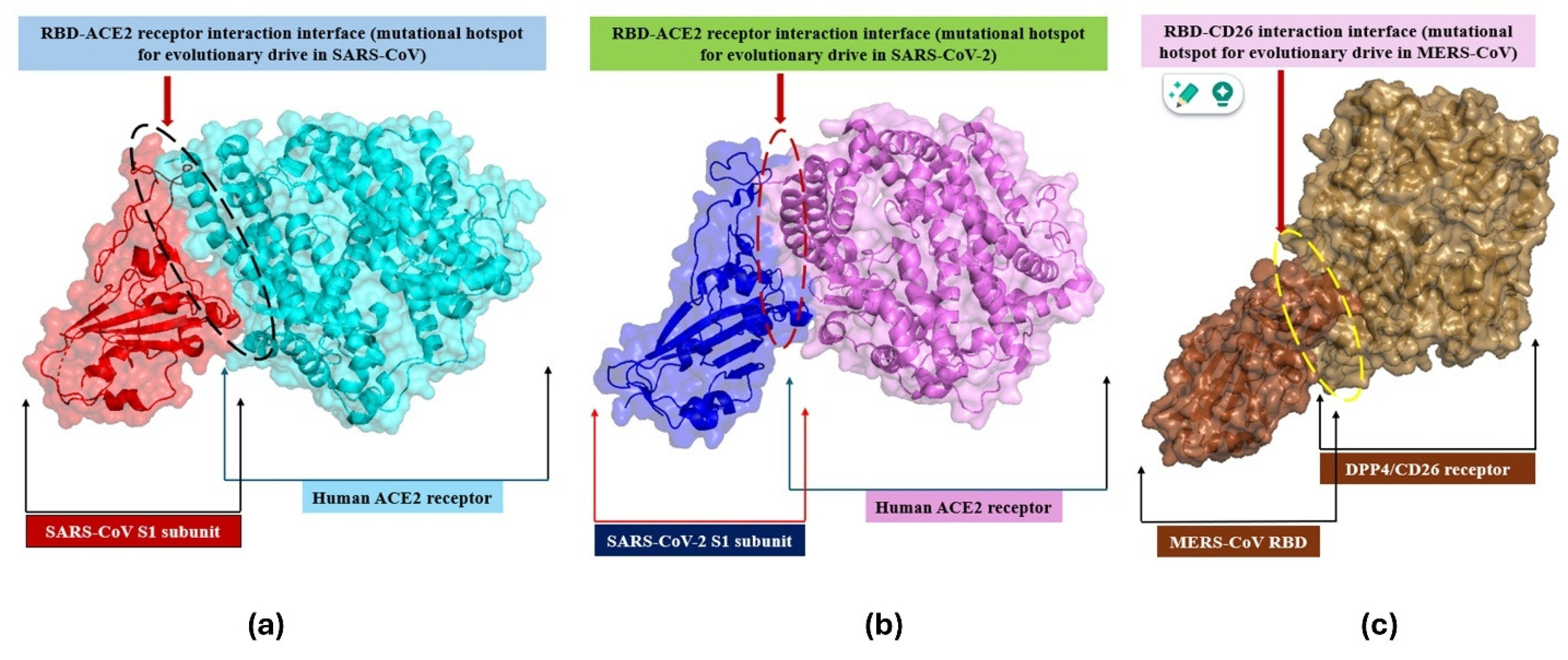 Biomedicines 13 02450 g003 Biomedicines 13 02450 g003