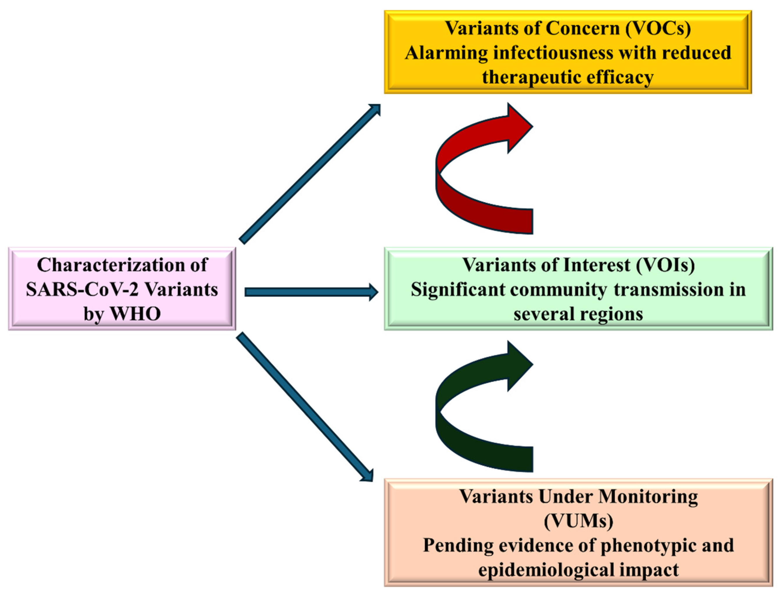 Biomedicines 13 02450 g005 Biomedicines 13 02450 g005