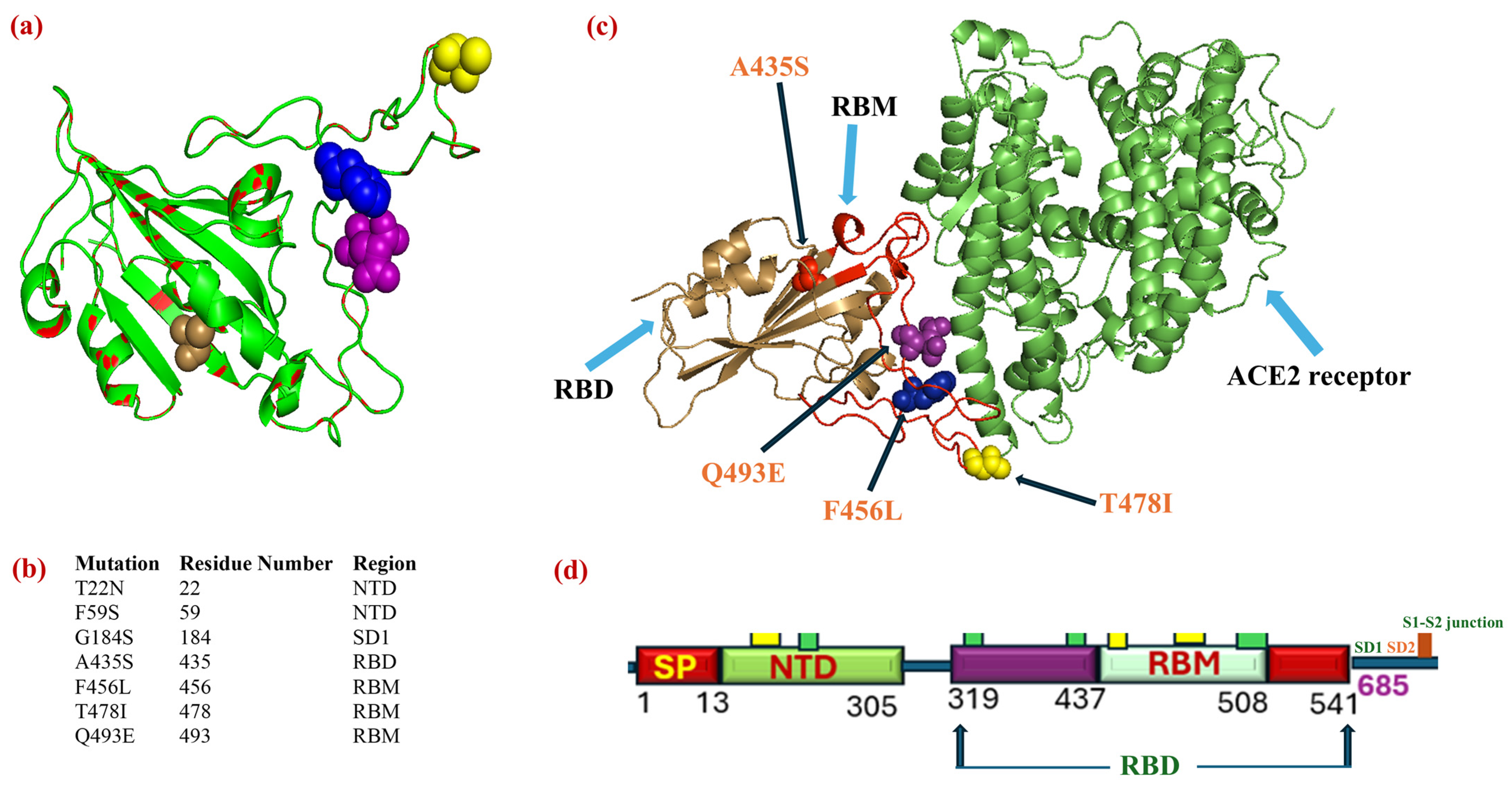 Biomedicines 13 02450 g006 Biomedicines 13 02450 g006