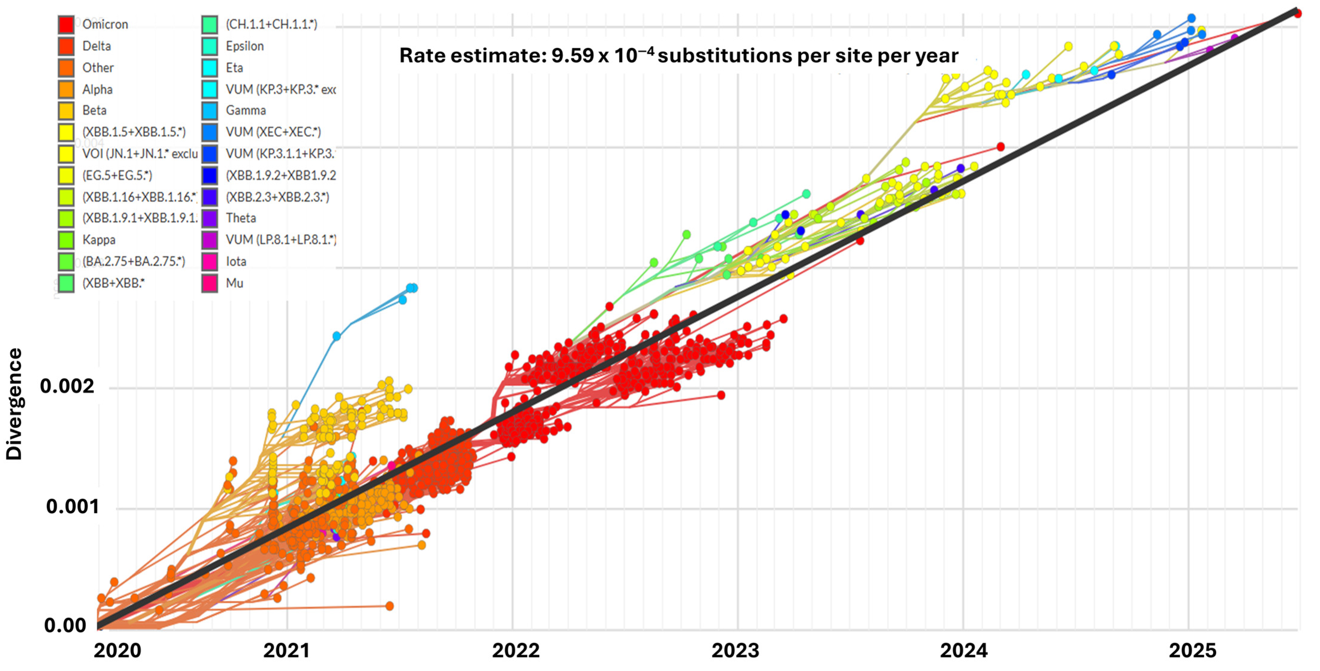 Biomedicines 13 02450 g007 Biomedicines 13 02450 g007