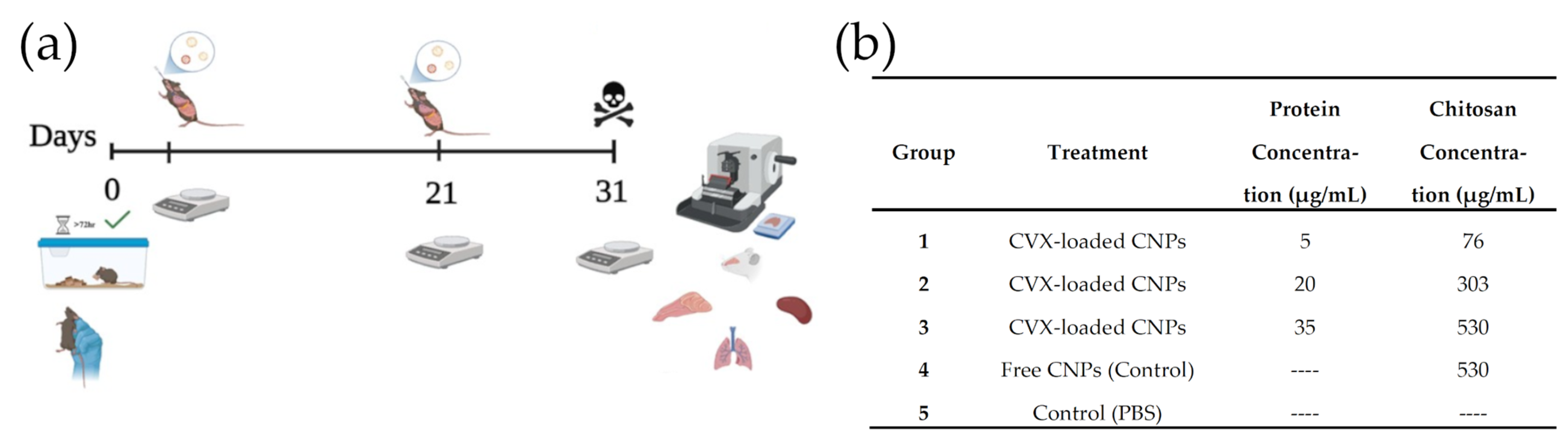 Biomedicines 13 02453 g002 Biomedicines 13 02453 g002