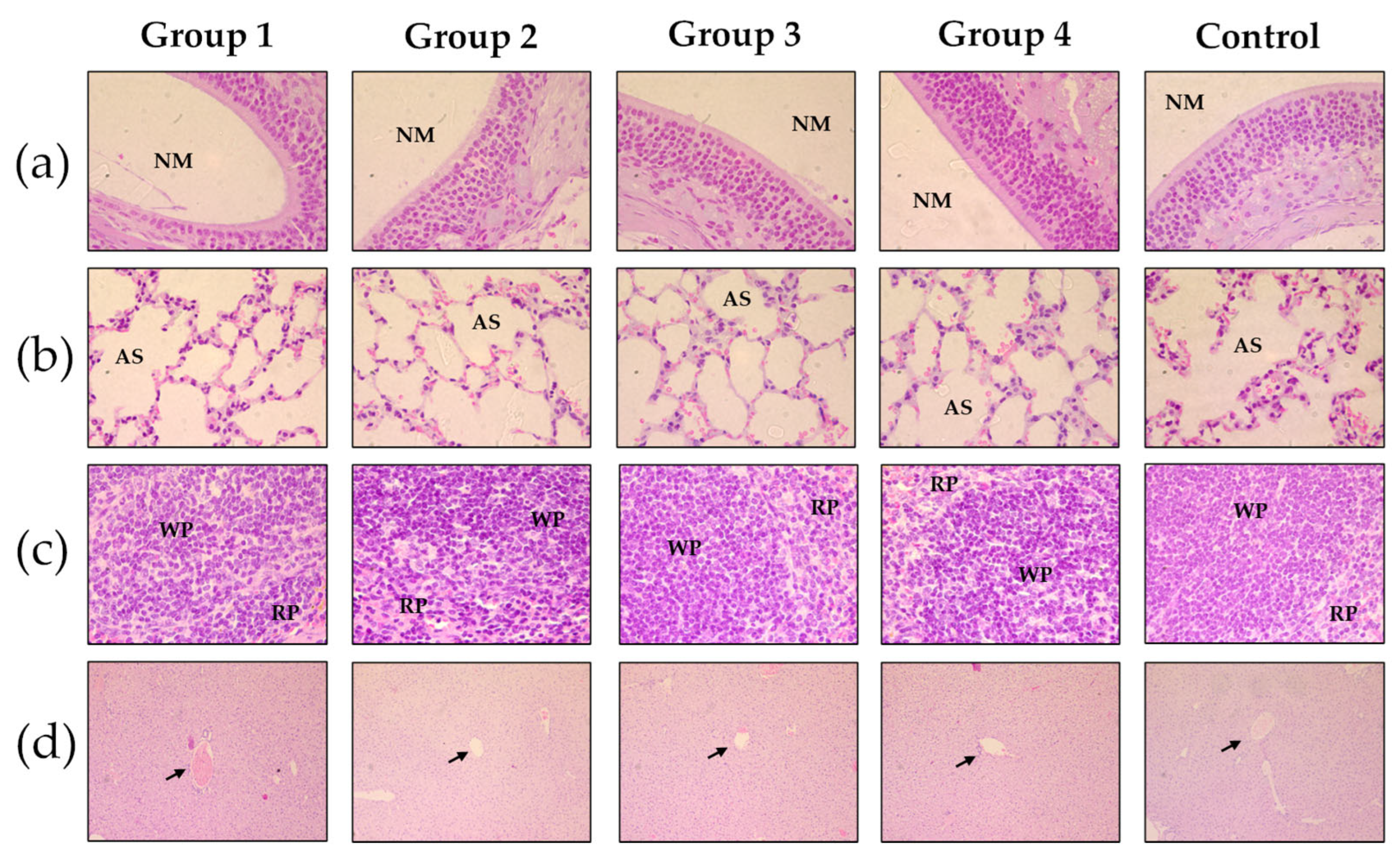 Biomedicines 13 02453 g007 Biomedicines 13 02453 g007