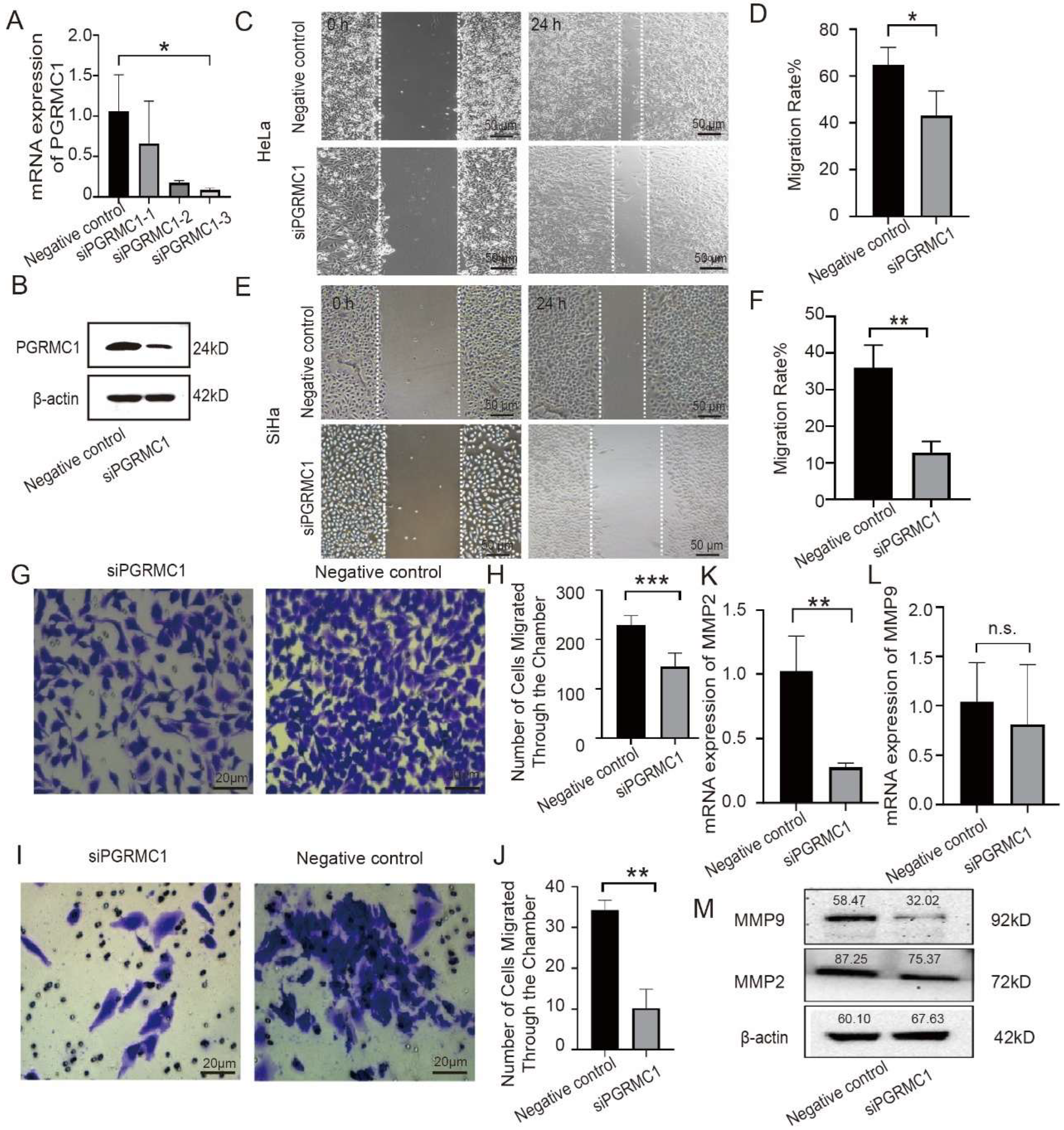 Biomedicines 13 02454 g002