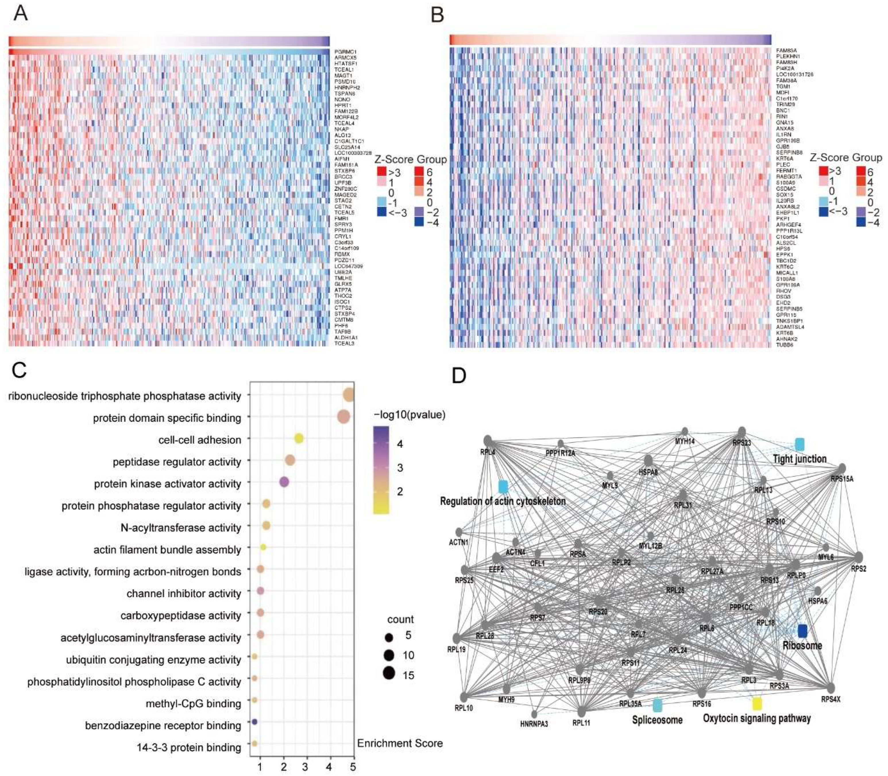 Biomedicines 13 02454 g003