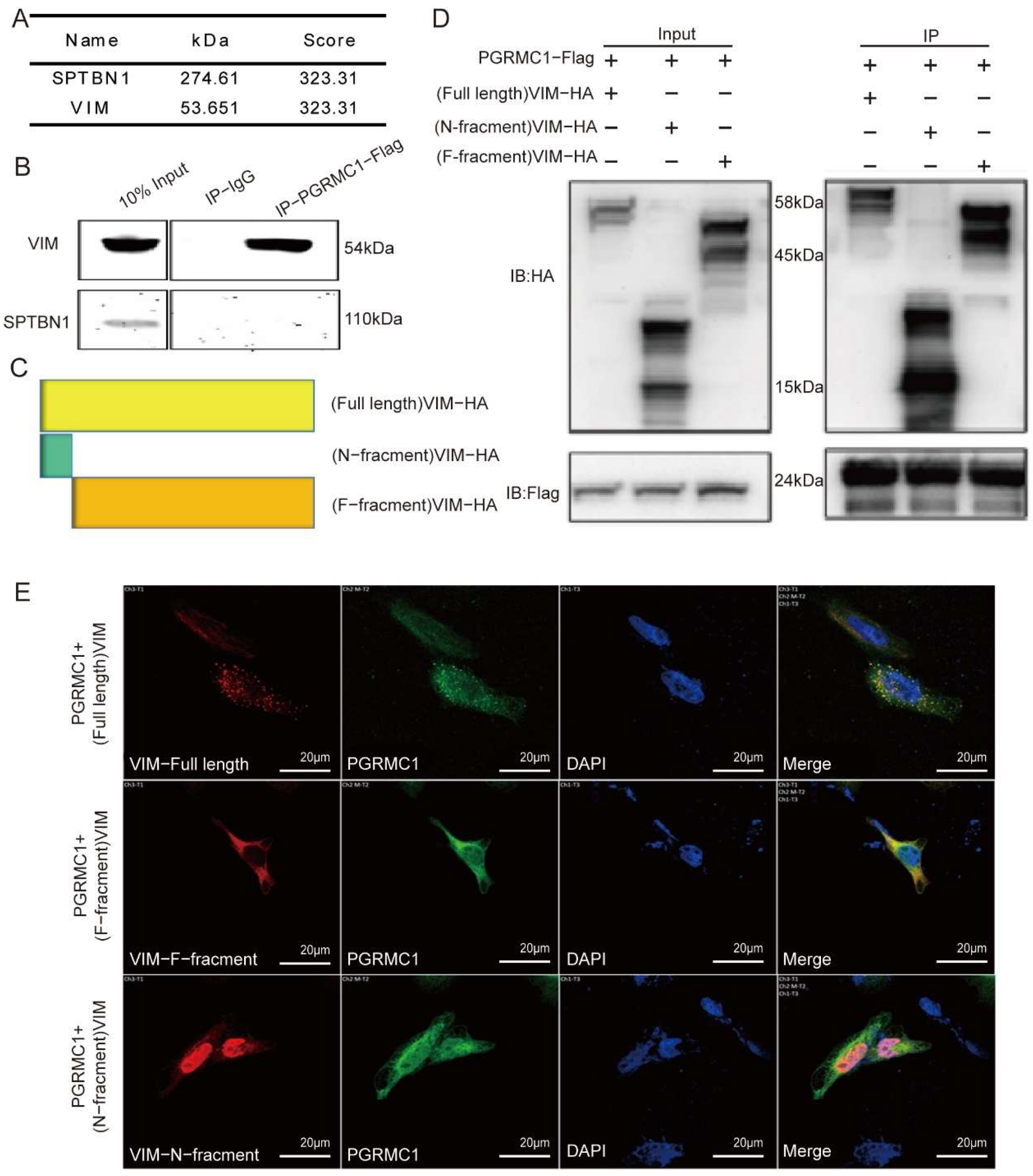 Biomedicines 13 02454 g004