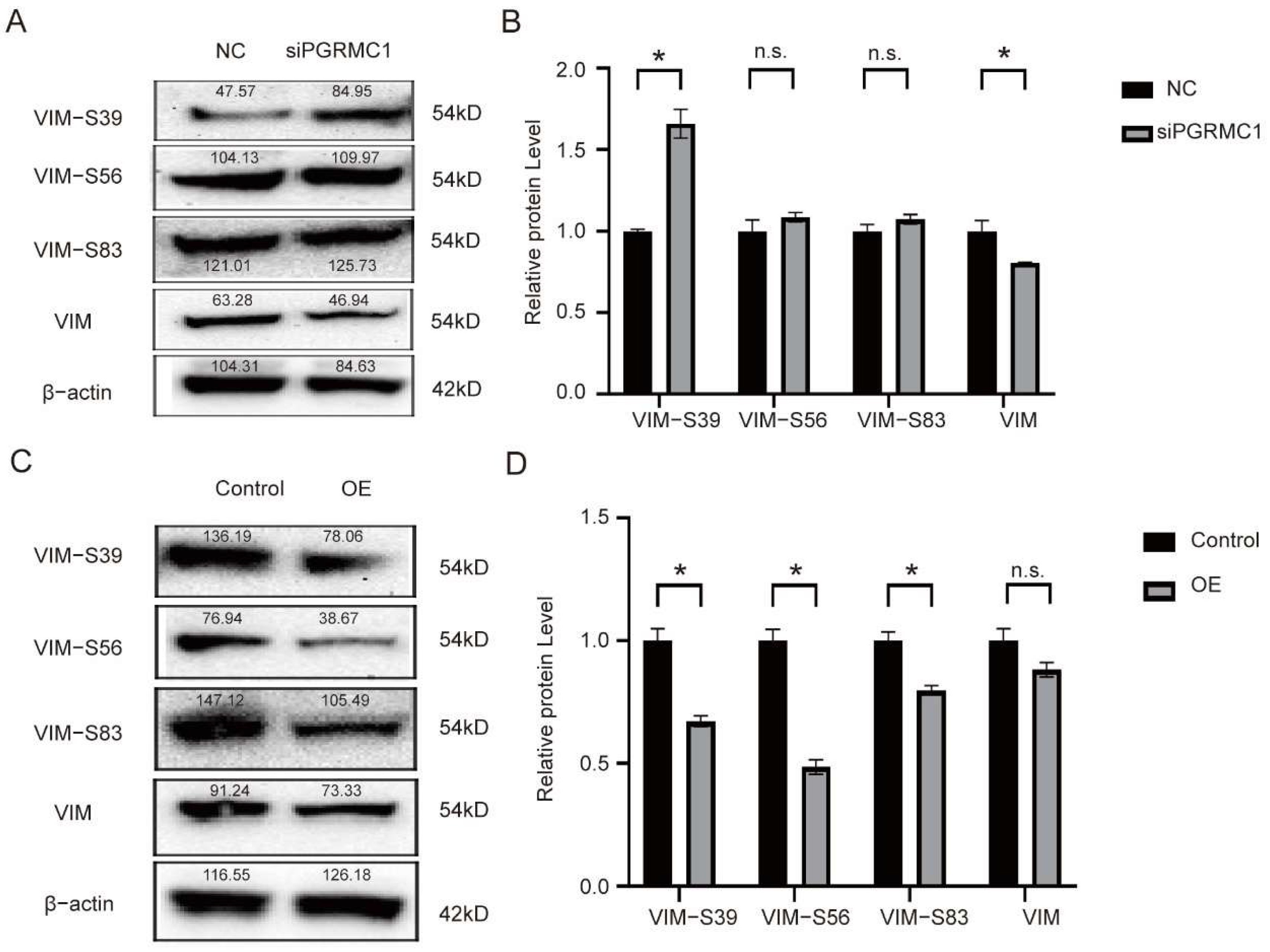 Biomedicines 13 02454 g005