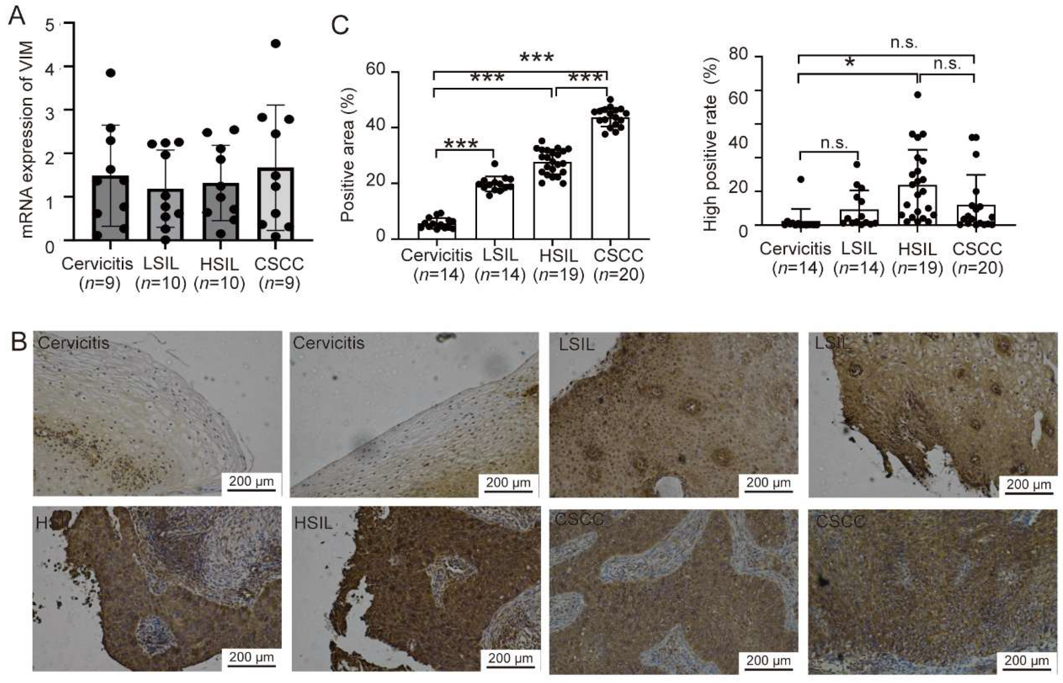 Biomedicines 13 02454 g006