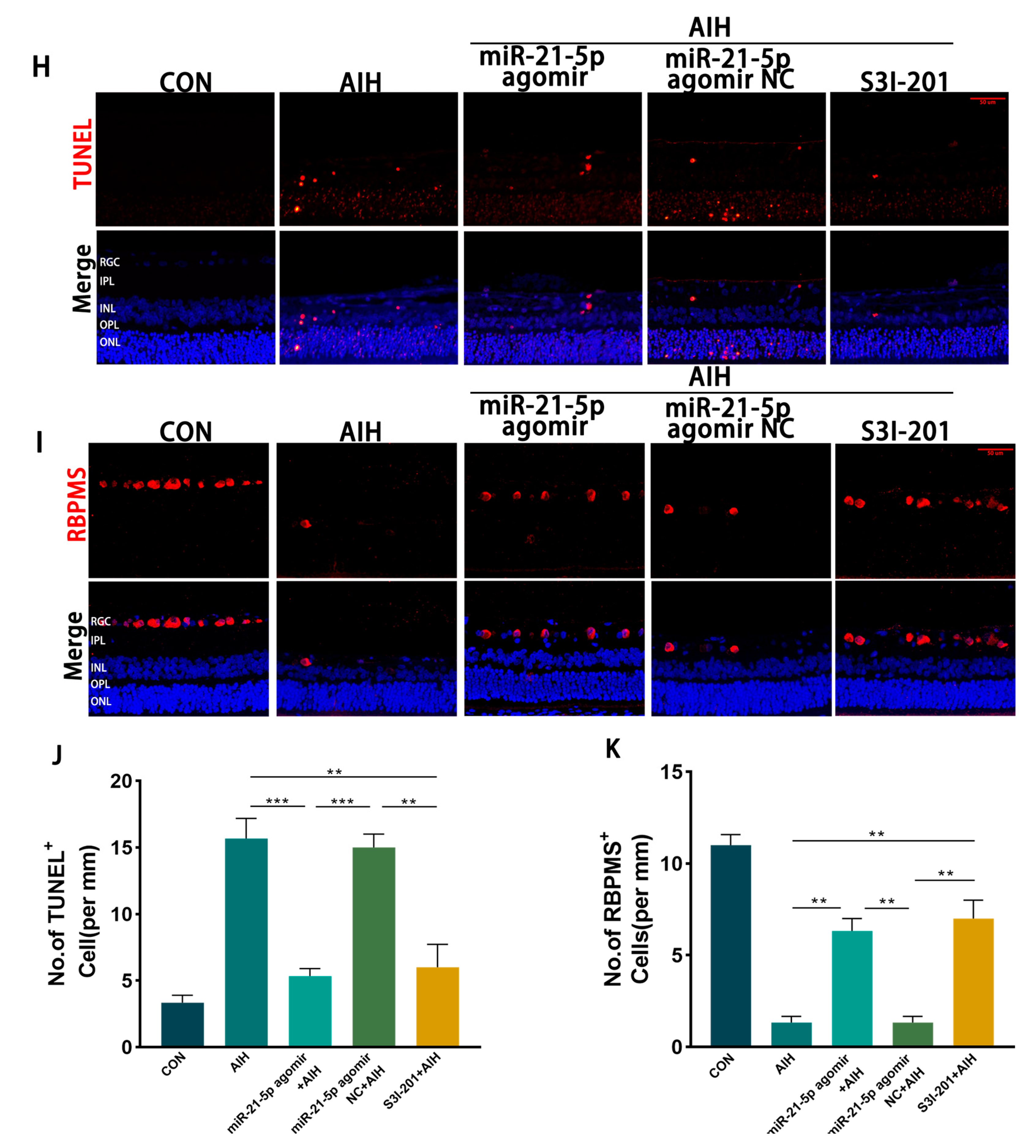 Biomedicines 13 02456 g005b