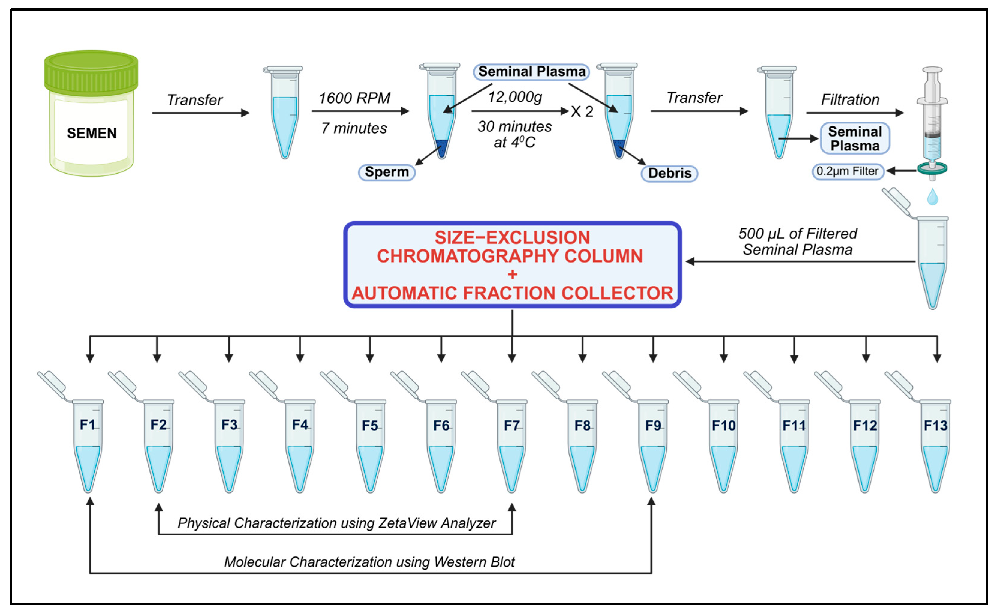 Biomedicines 13 02459 g001