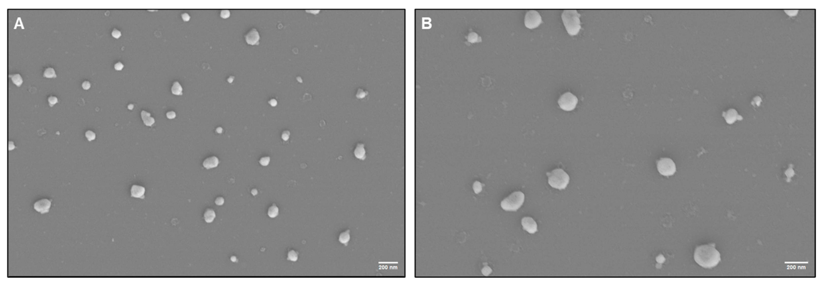 Biomedicines 13 02459 g004