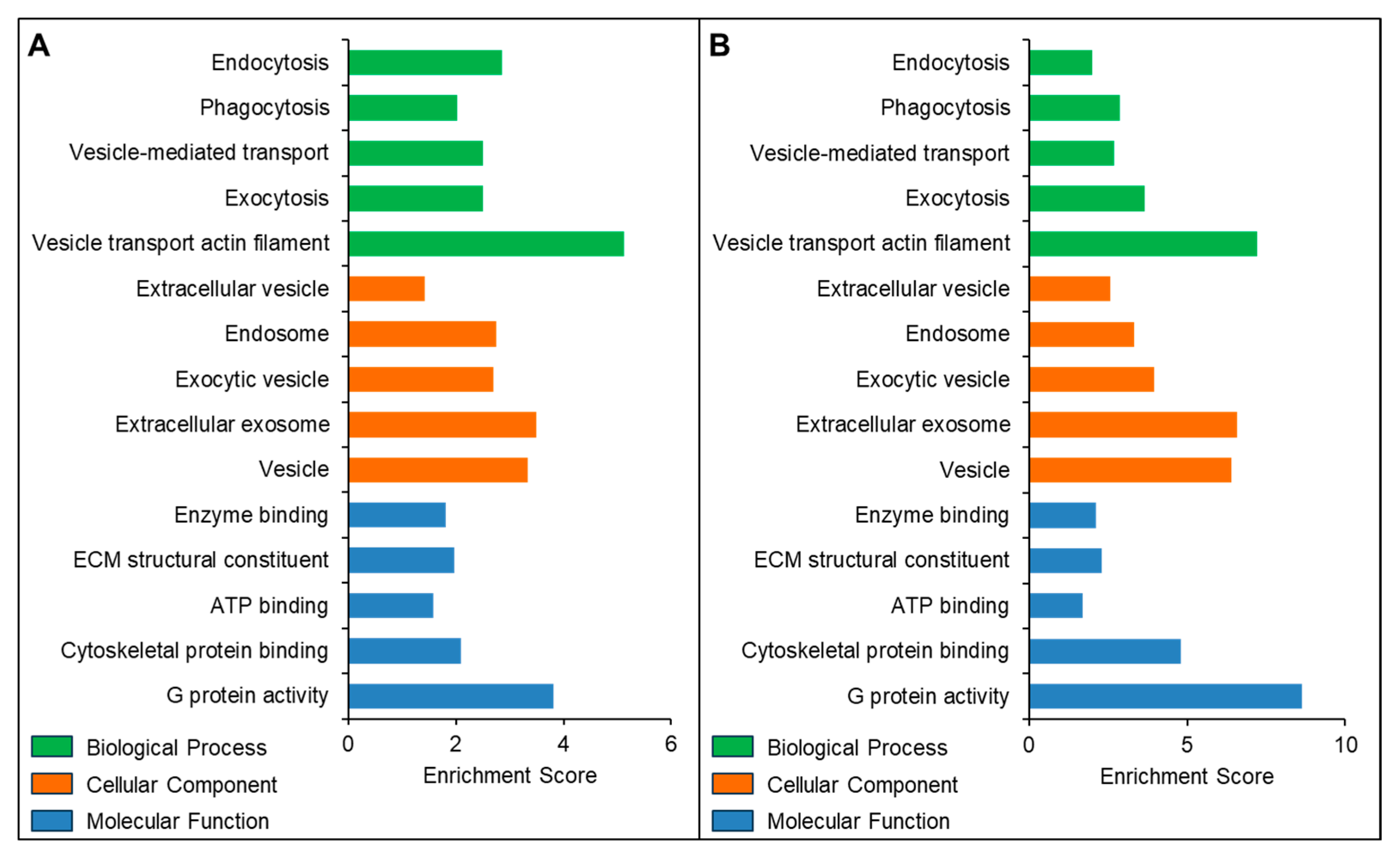 Biomedicines 13 02459 g006