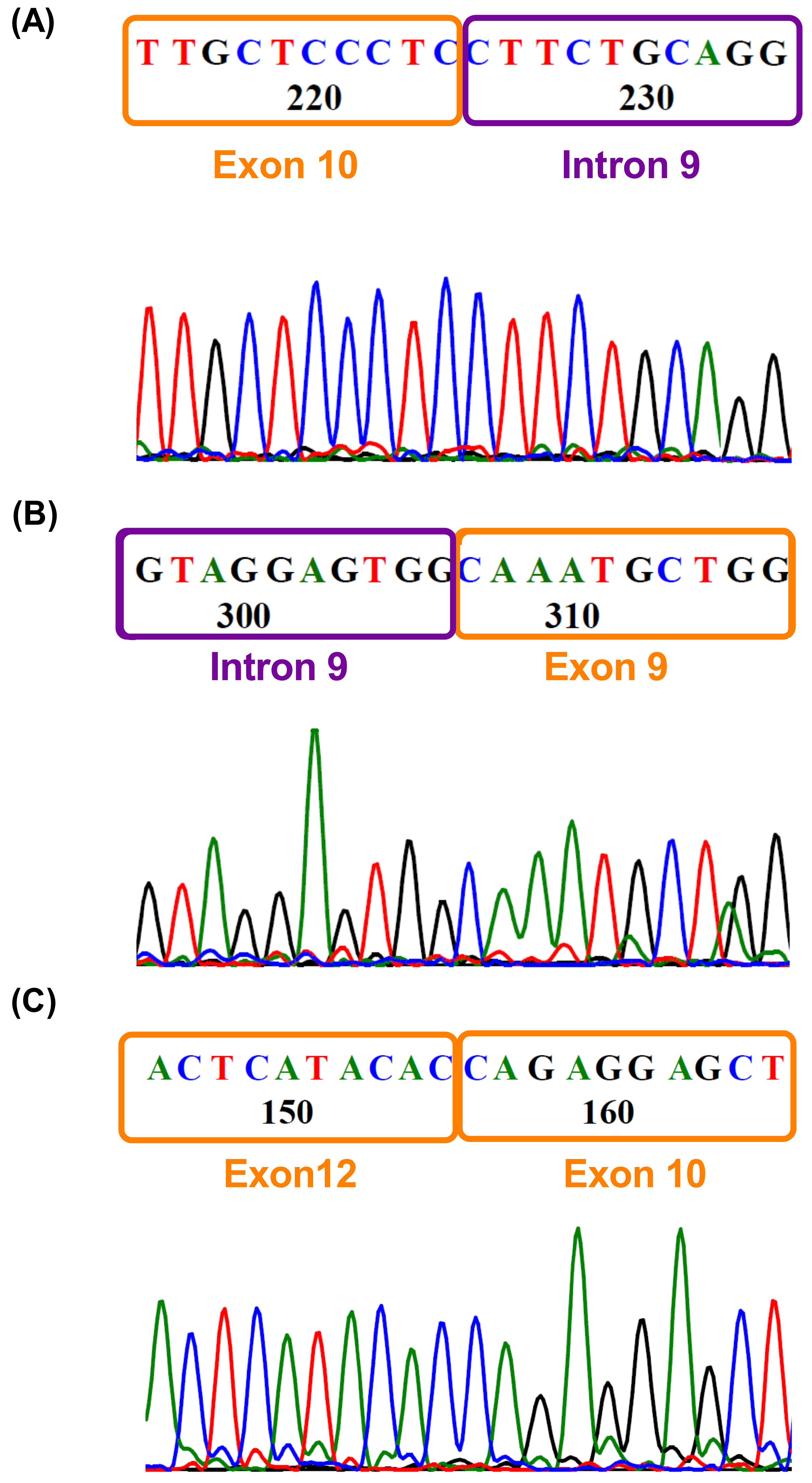Biomedicines 13 02461 g004