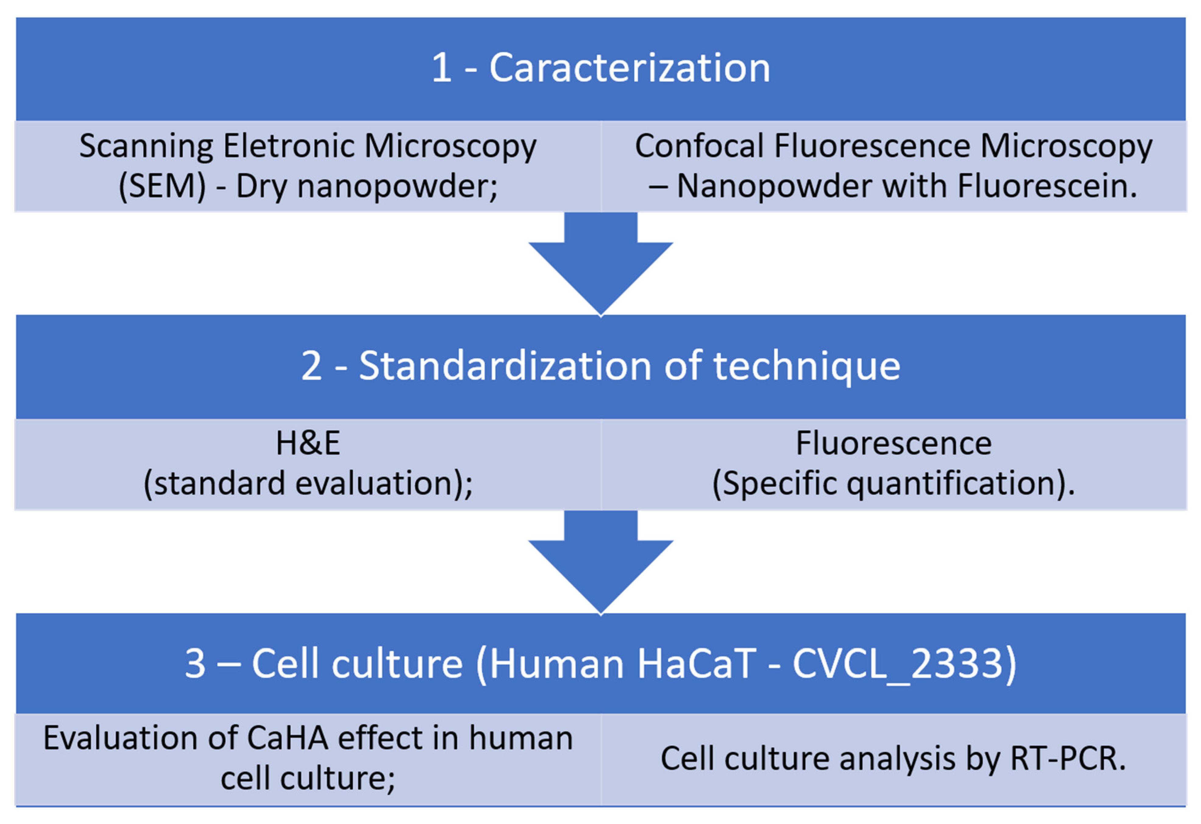 Biomedicines 13 02463 g001 Biomedicines 13 02463 g001