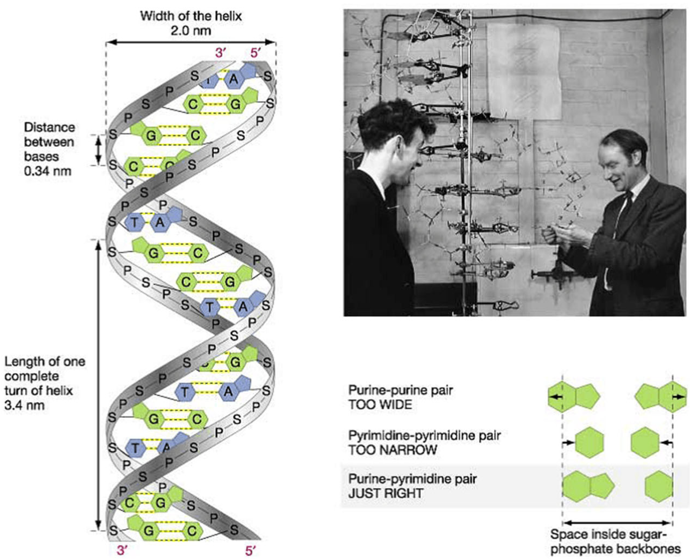 Biomedicines 13 02470 g022