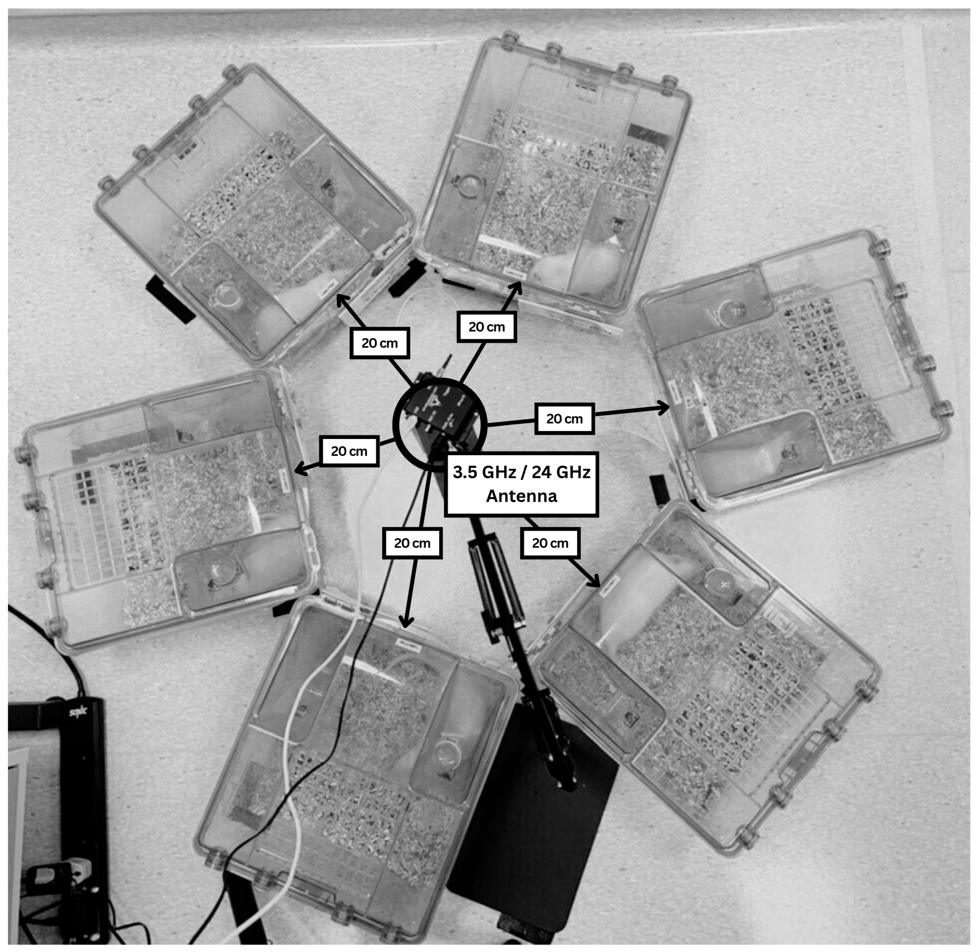 Biomedicines 13 02471 g001