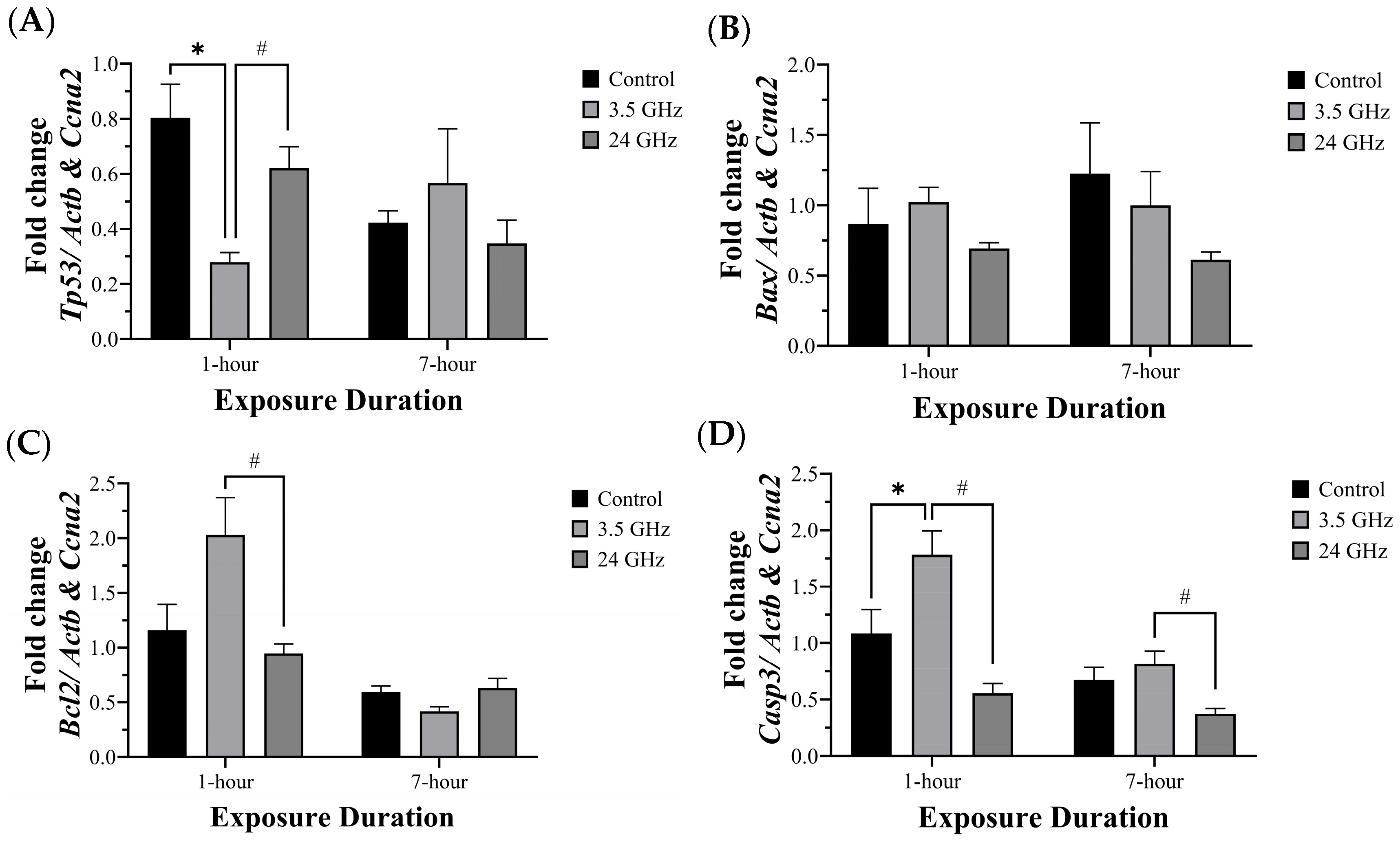 Biomedicines 13 02471 g004