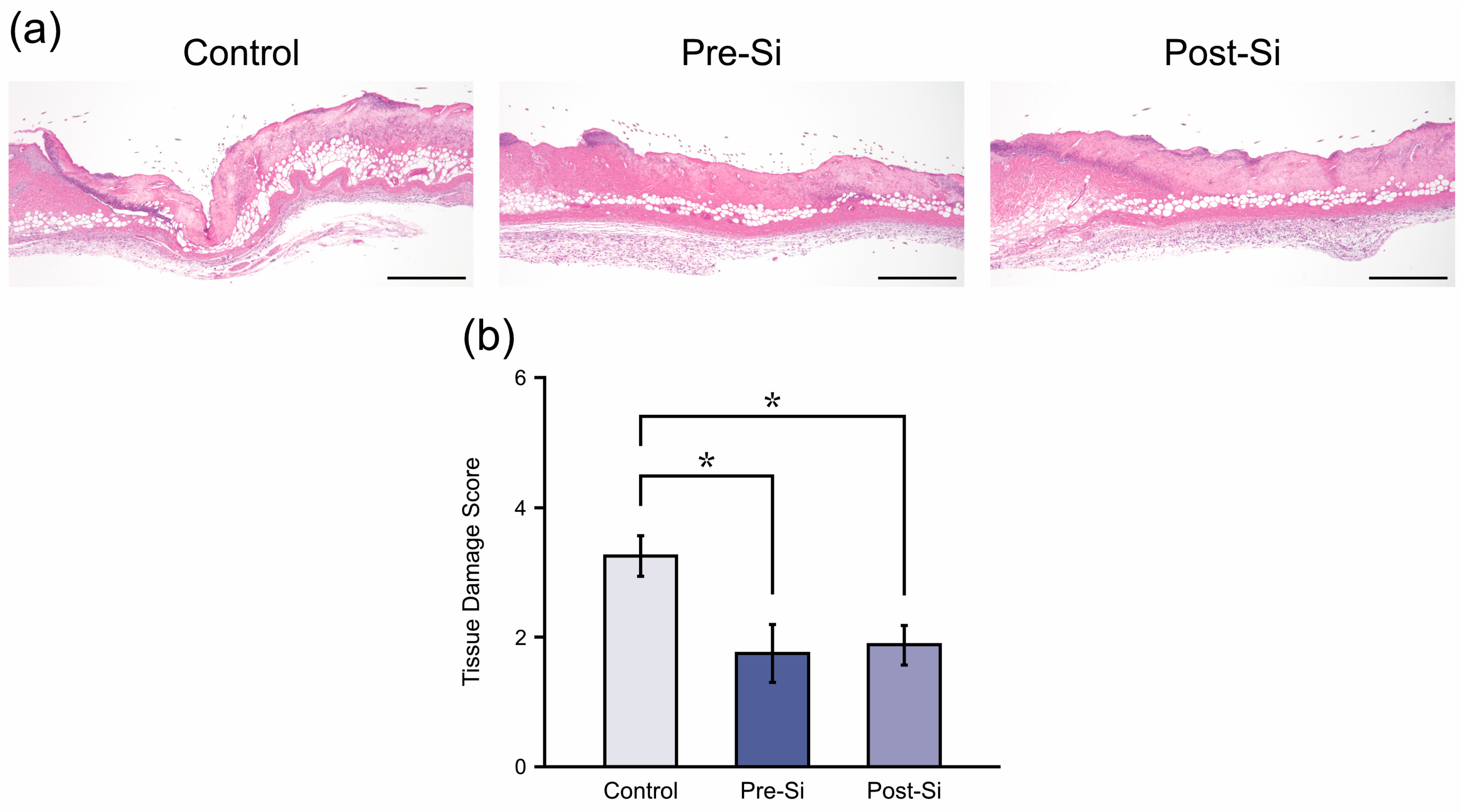 Biomedicines 13 02475 g003