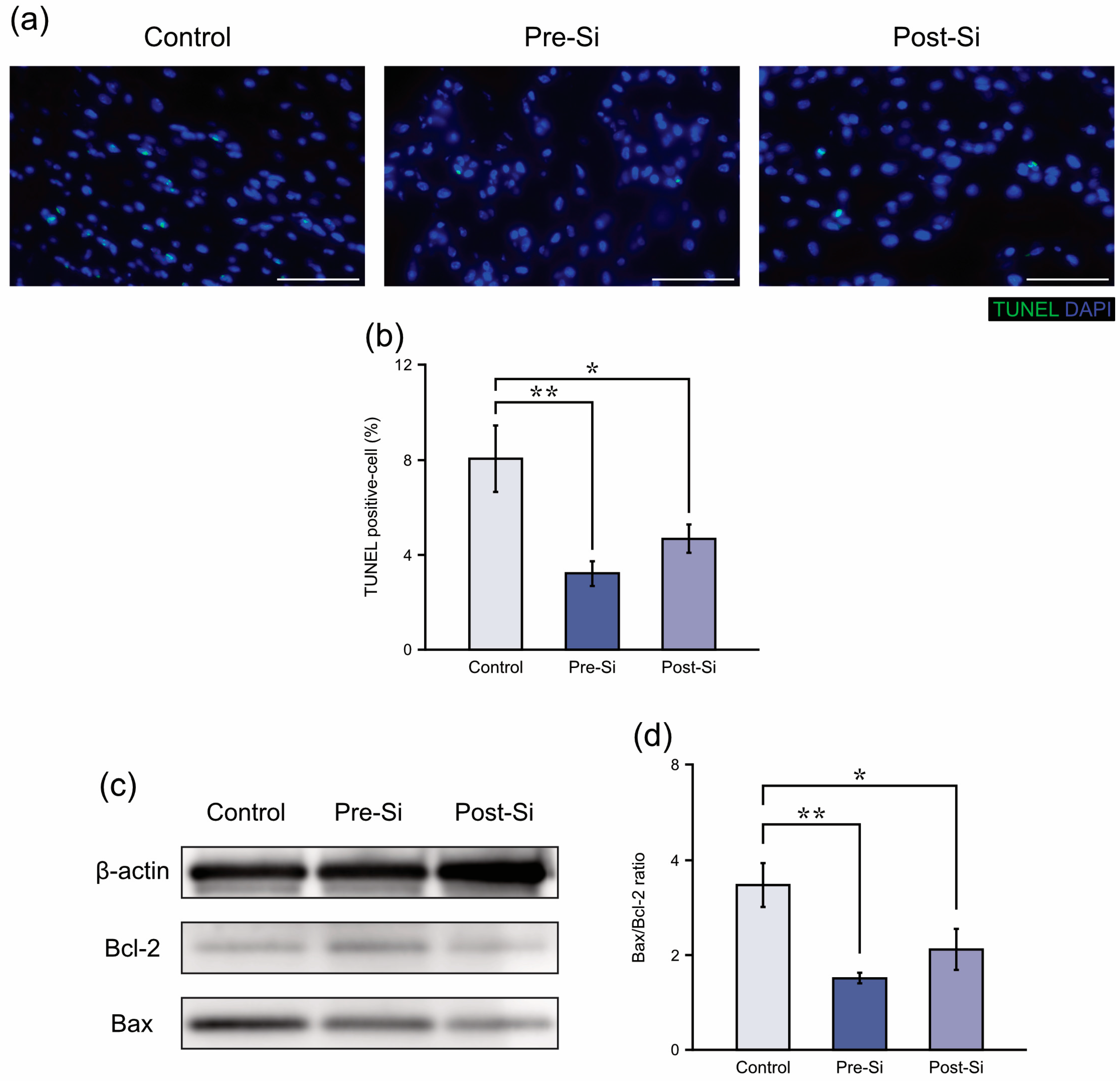 Biomedicines 13 02475 g004