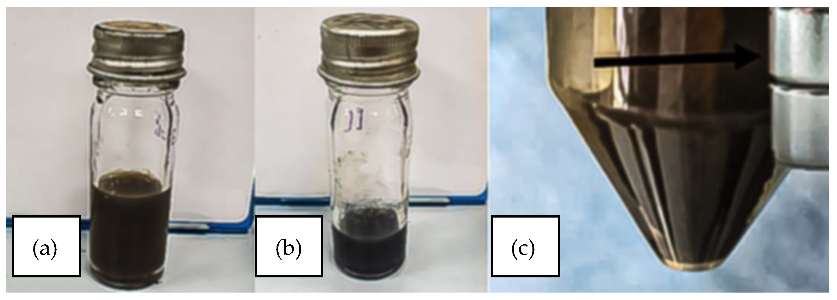 Biomedicines 13 02476 g001