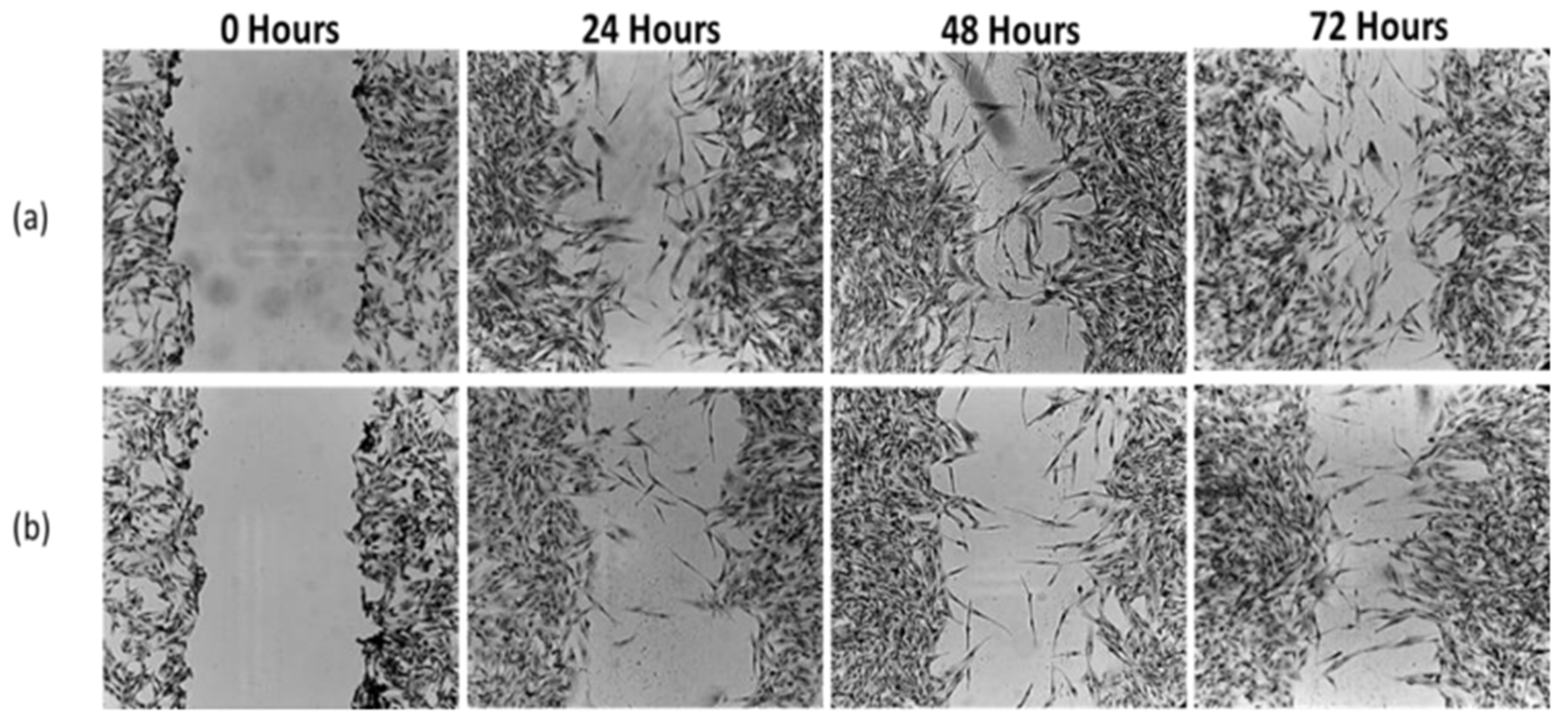 Biomedicines 13 02476 g009