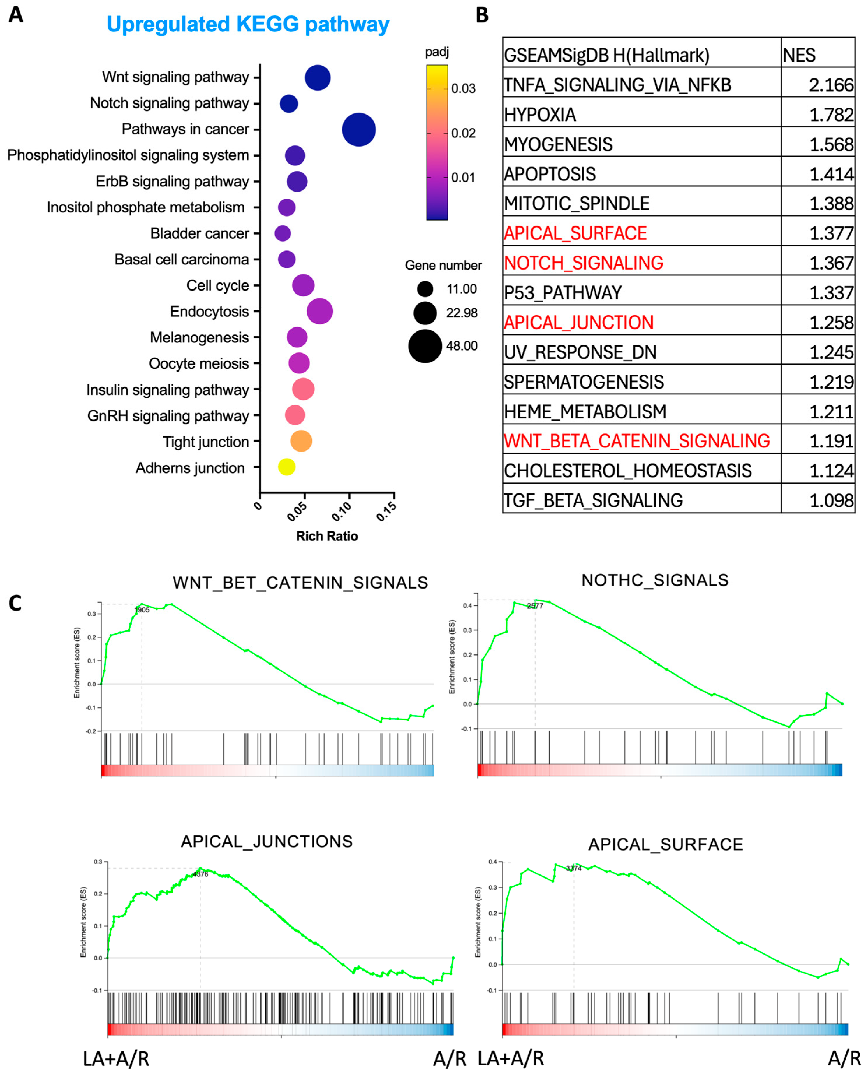 Biomedicines 13 02483 g005