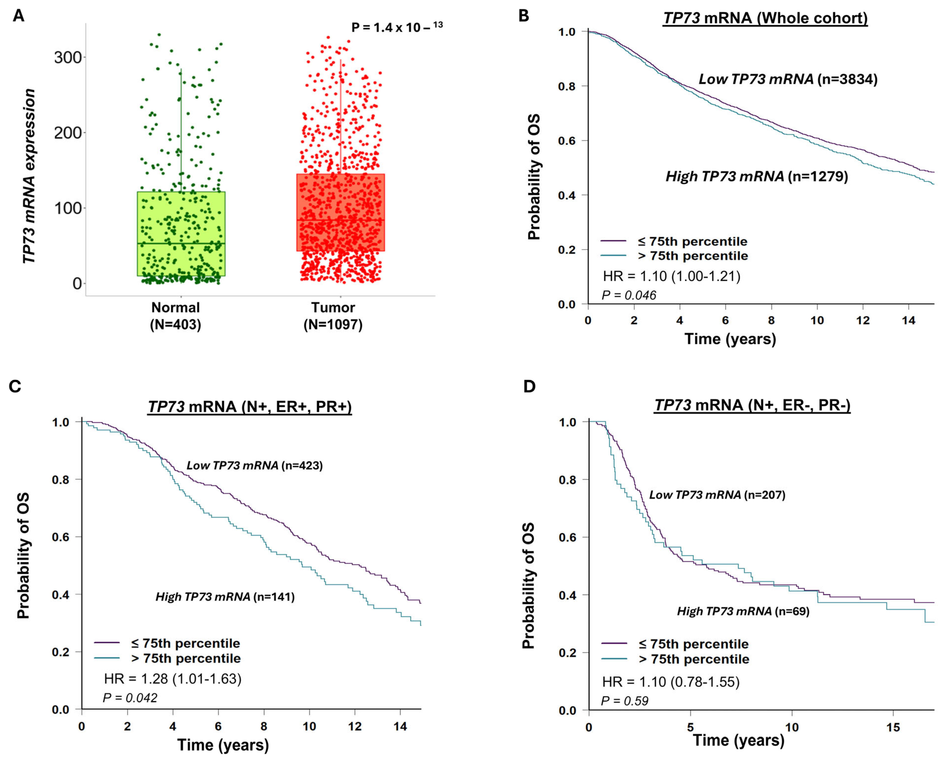 Biomedicines 13 02484 g002