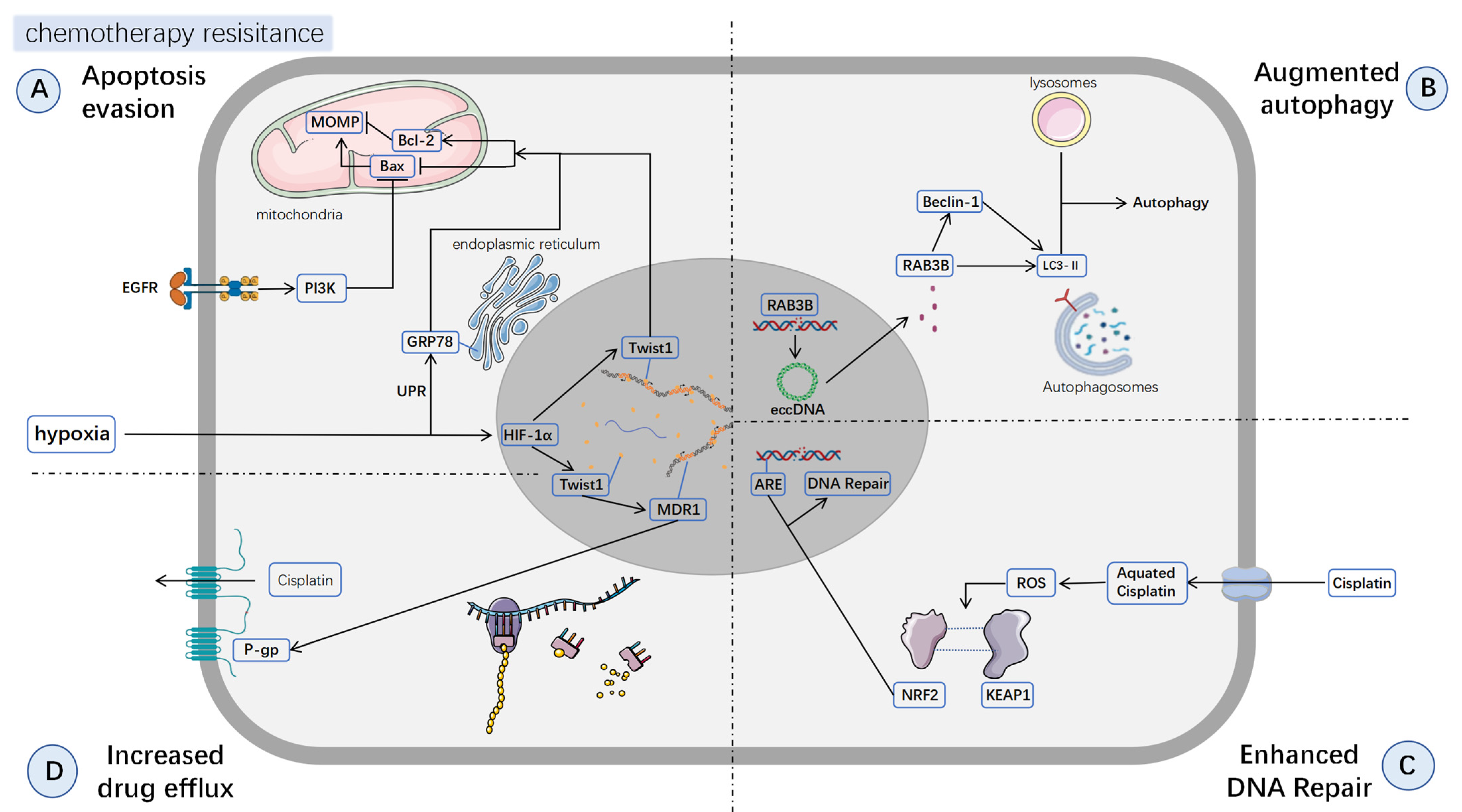 Biomedicines 13 02485 g002