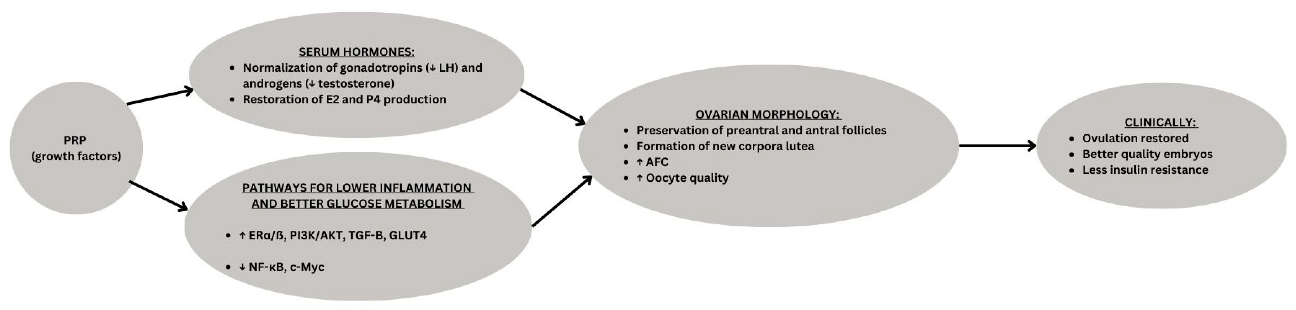 Biomedicines 13 02488 g001