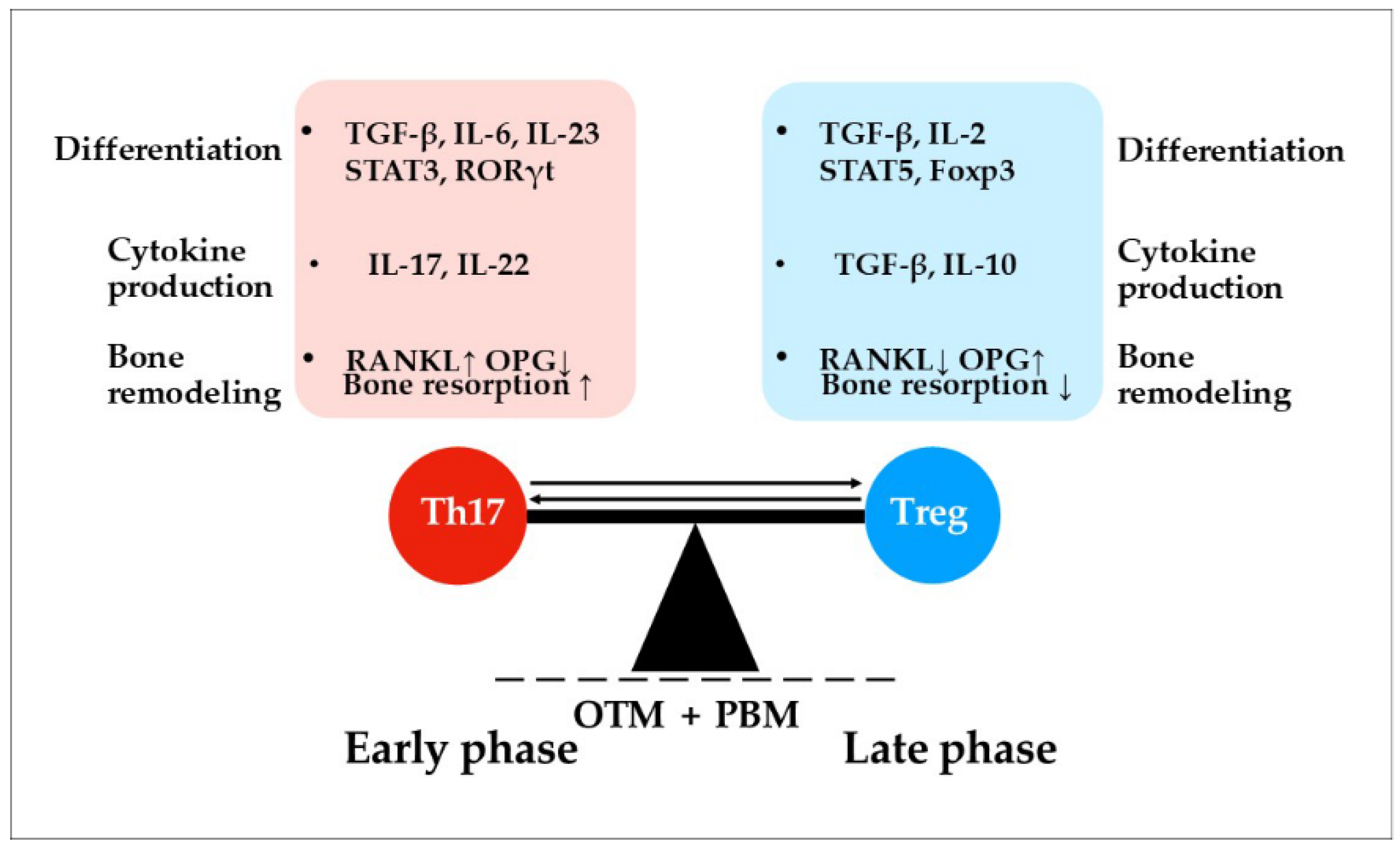 Biomedicines 13 02495 g003