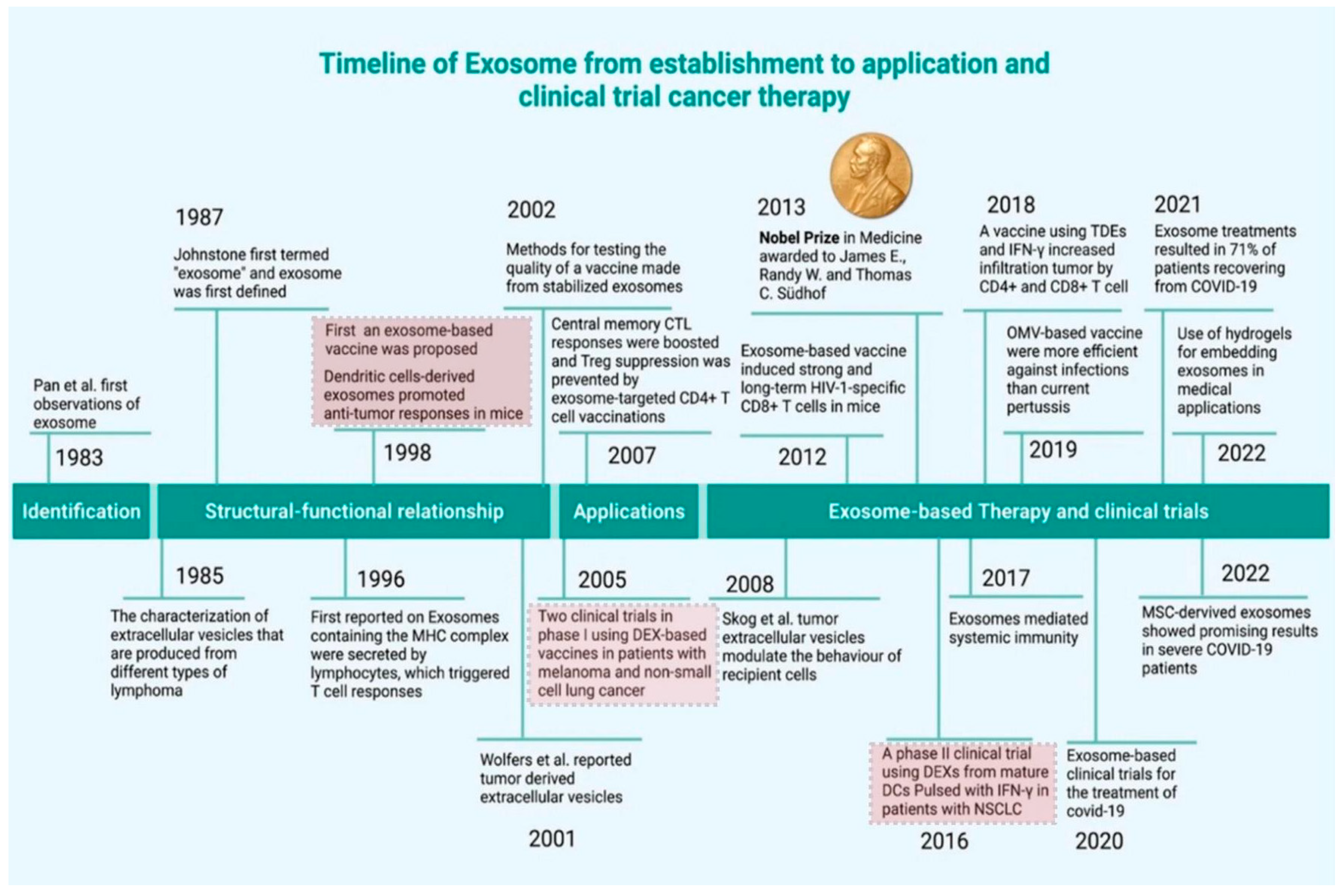 Biomedicines 13 02497 g001 Biomedicines 13 02497 g001