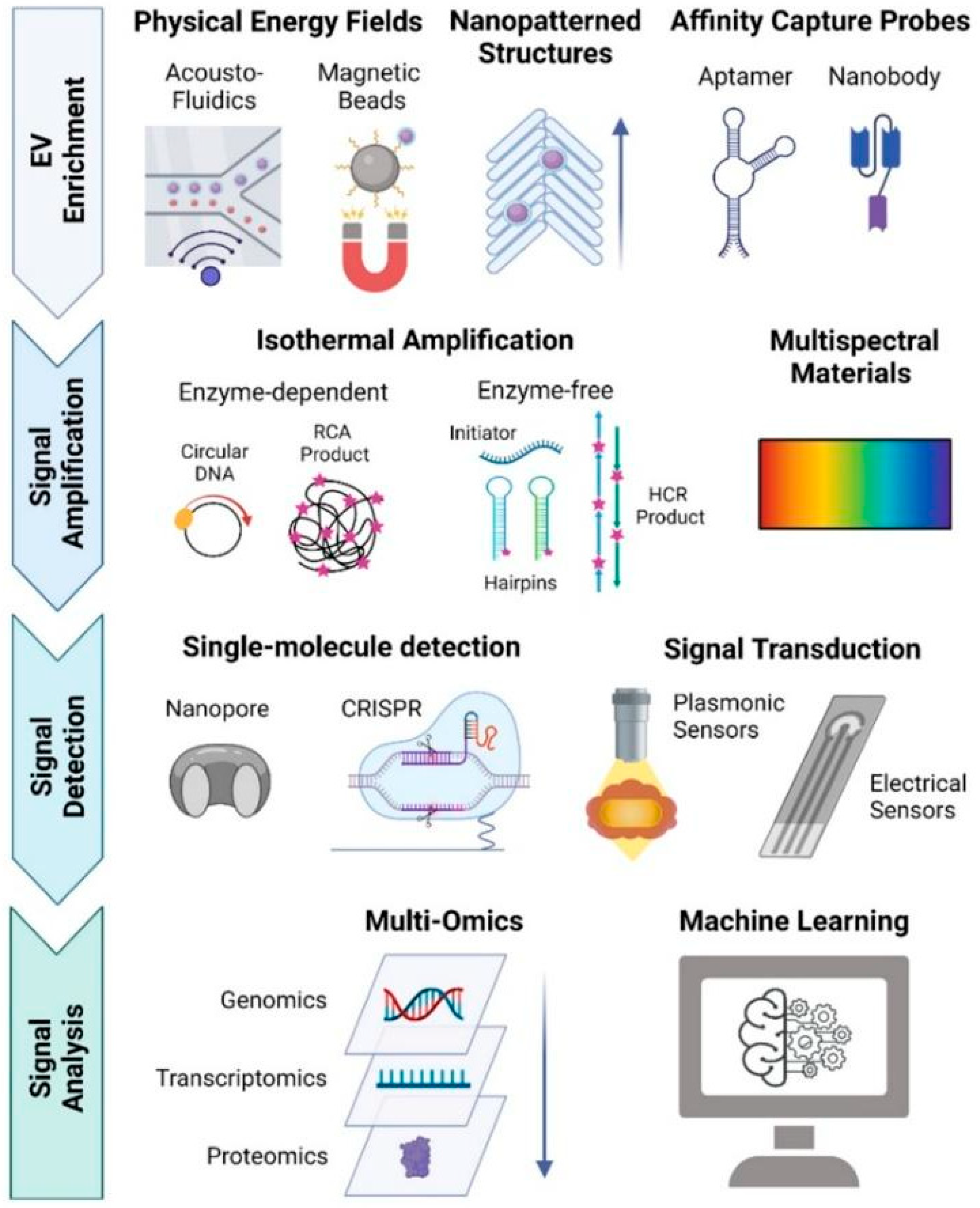 Biomedicines 13 02497 g005 Biomedicines 13 02497 g005