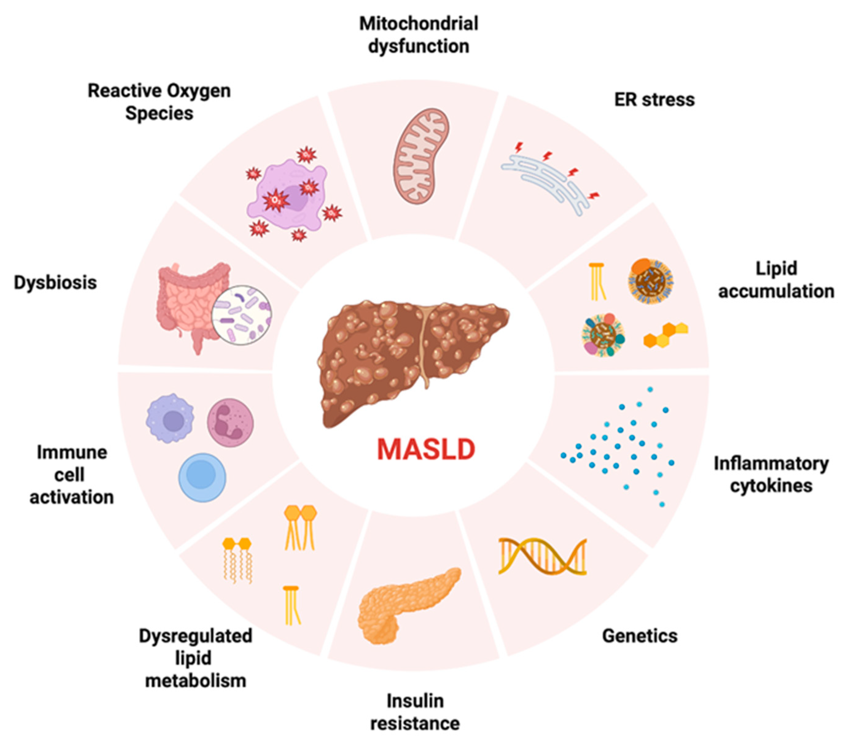 Biomedicines 13 02500 g001 Biomedicines 13 02500 g001