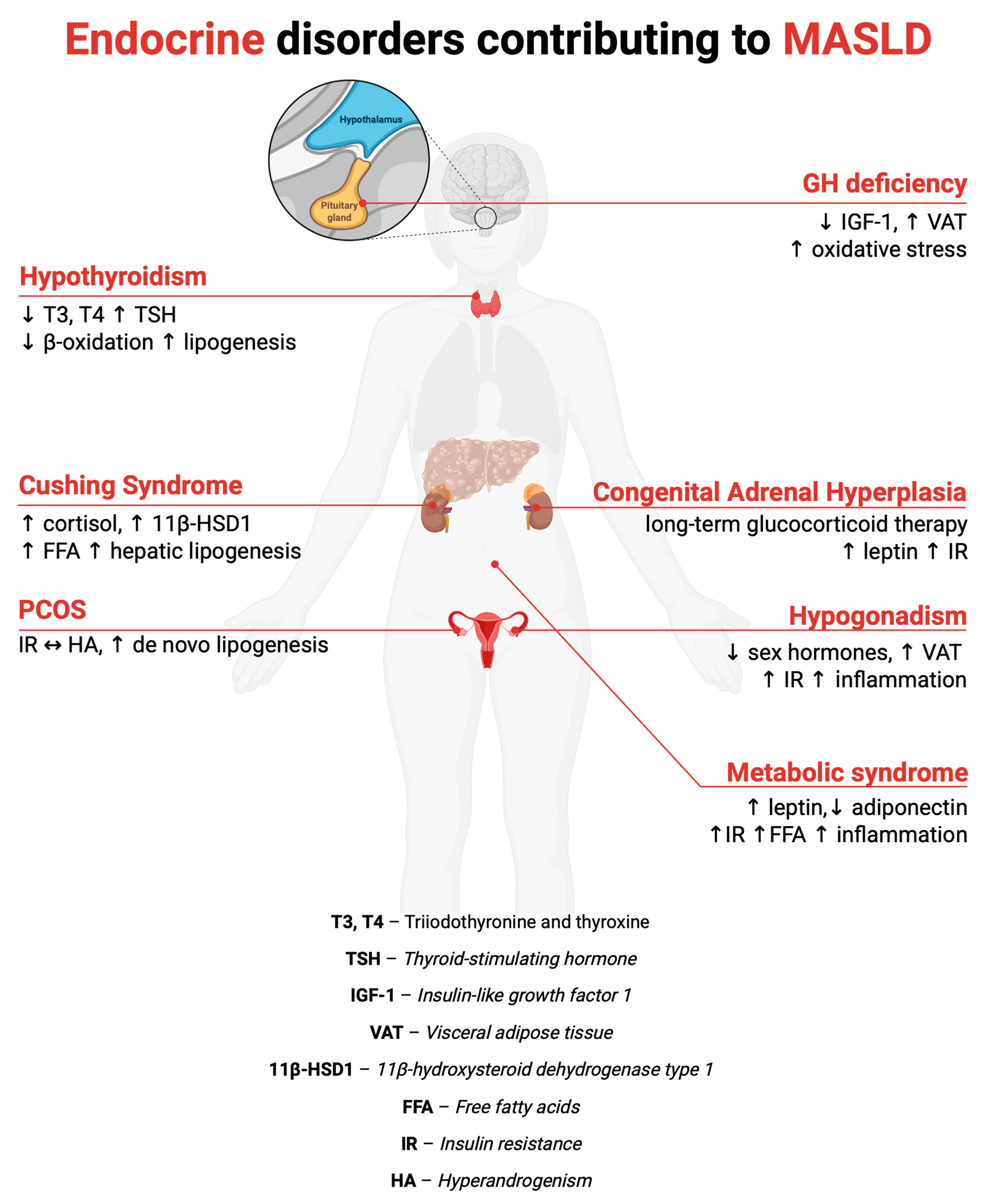 Biomedicines 13 02500 g002 Biomedicines 13 02500 g002