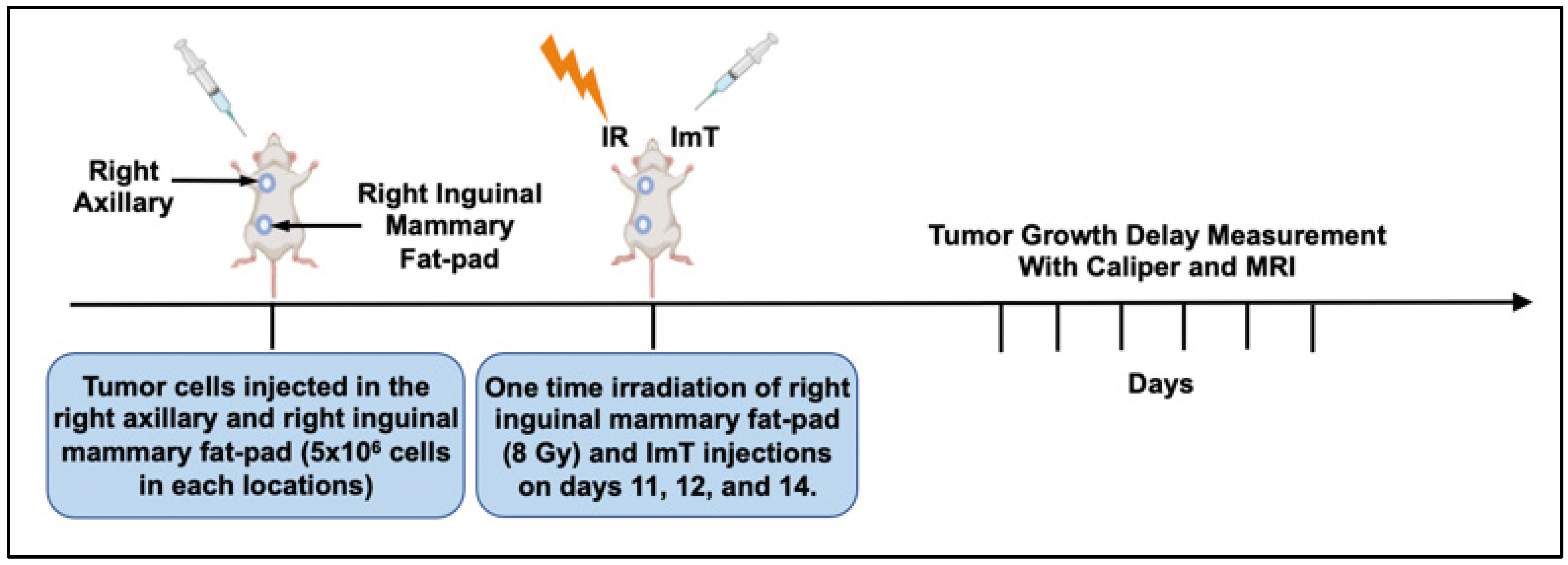 Biomedicines 13 02503 g001