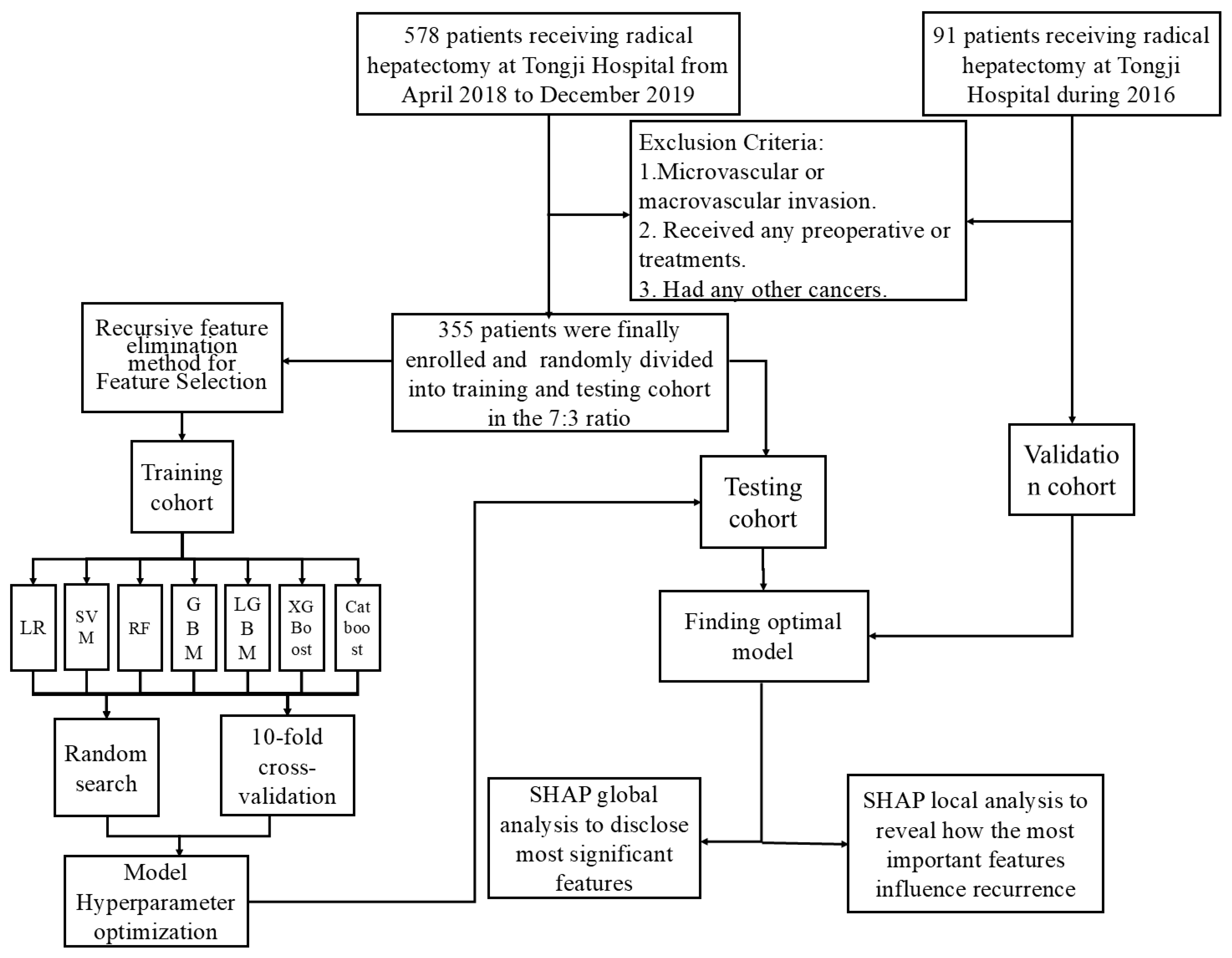 Biomedicines 13 02507 g001 Biomedicines 13 02507 g001