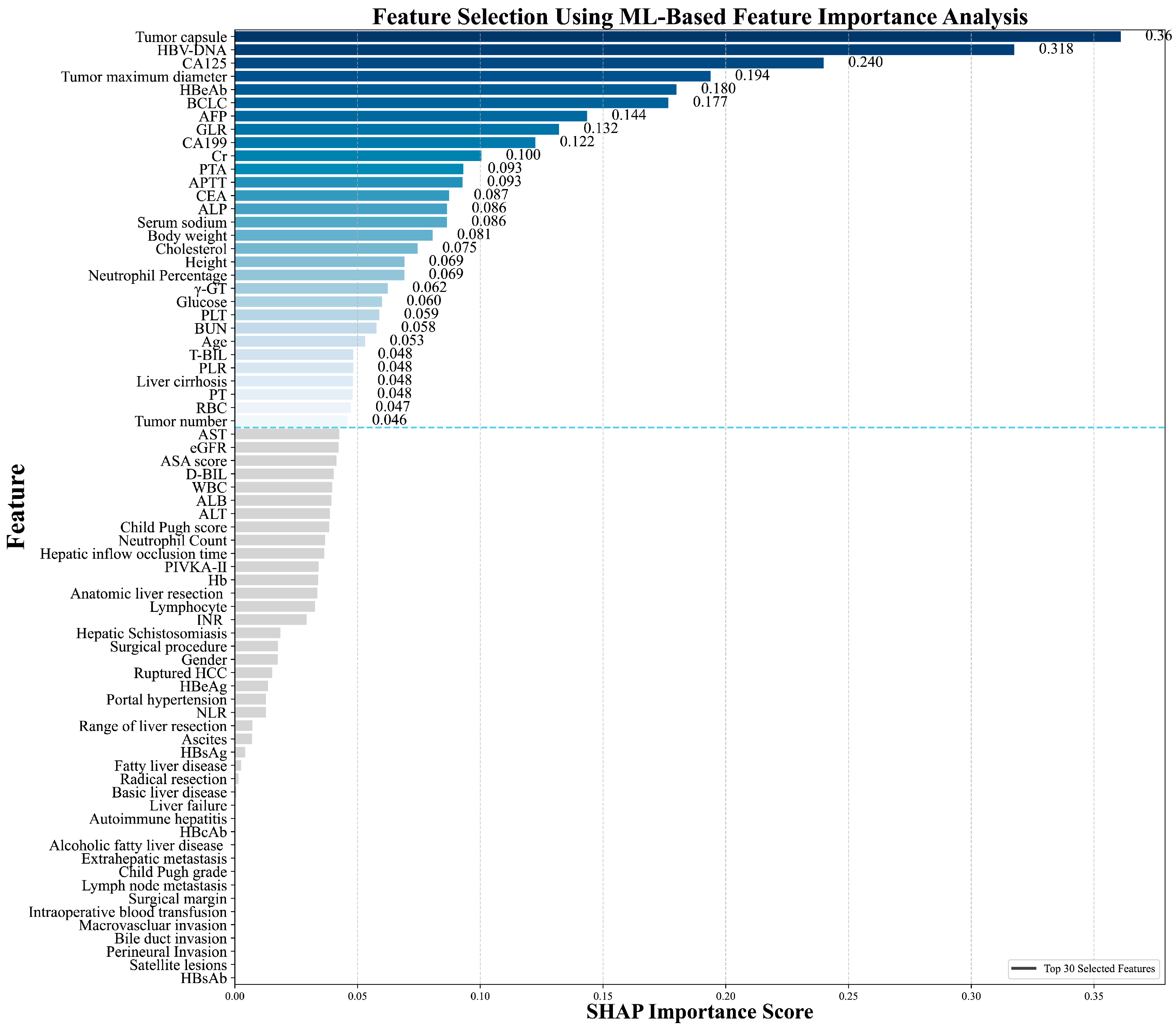 Biomedicines 13 02507 g002 Biomedicines 13 02507 g002